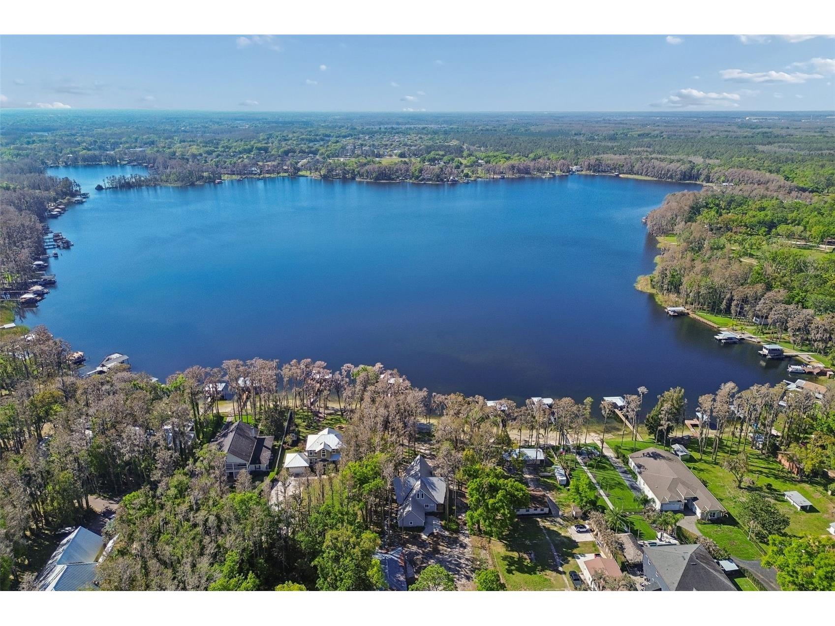 21314 Marsh Hawk Drive Land O Lakes FL 34638 W7884103 image80
