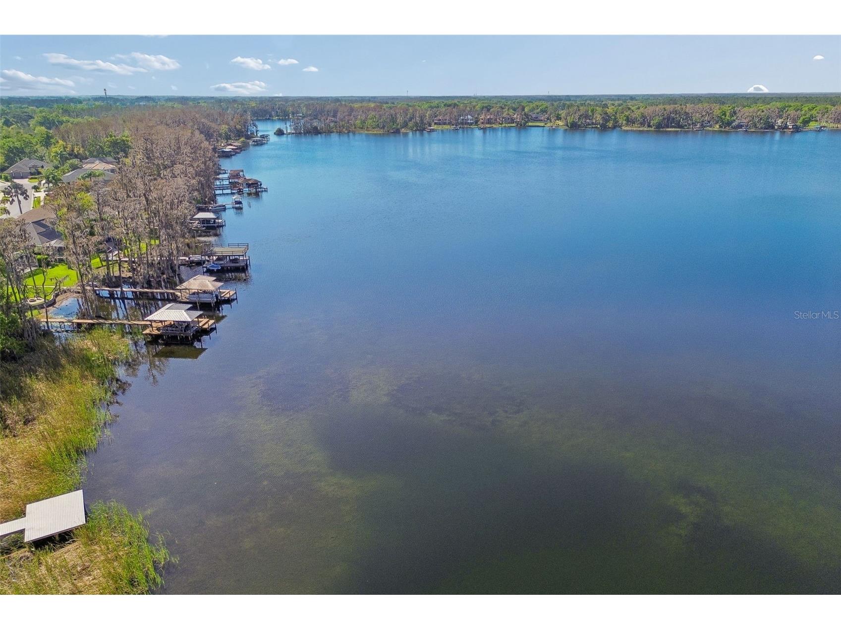21314 Marsh Hawk Drive Land O Lakes FL 34638 W7884103 image82