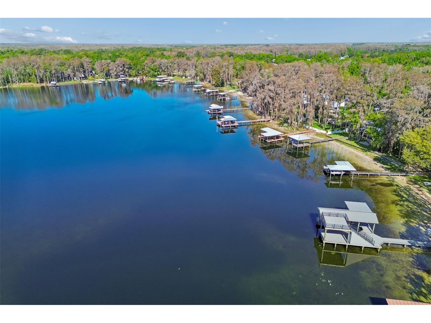 21314 Marsh Hawk Drive Land O Lakes FL 34638 W7884103 image83