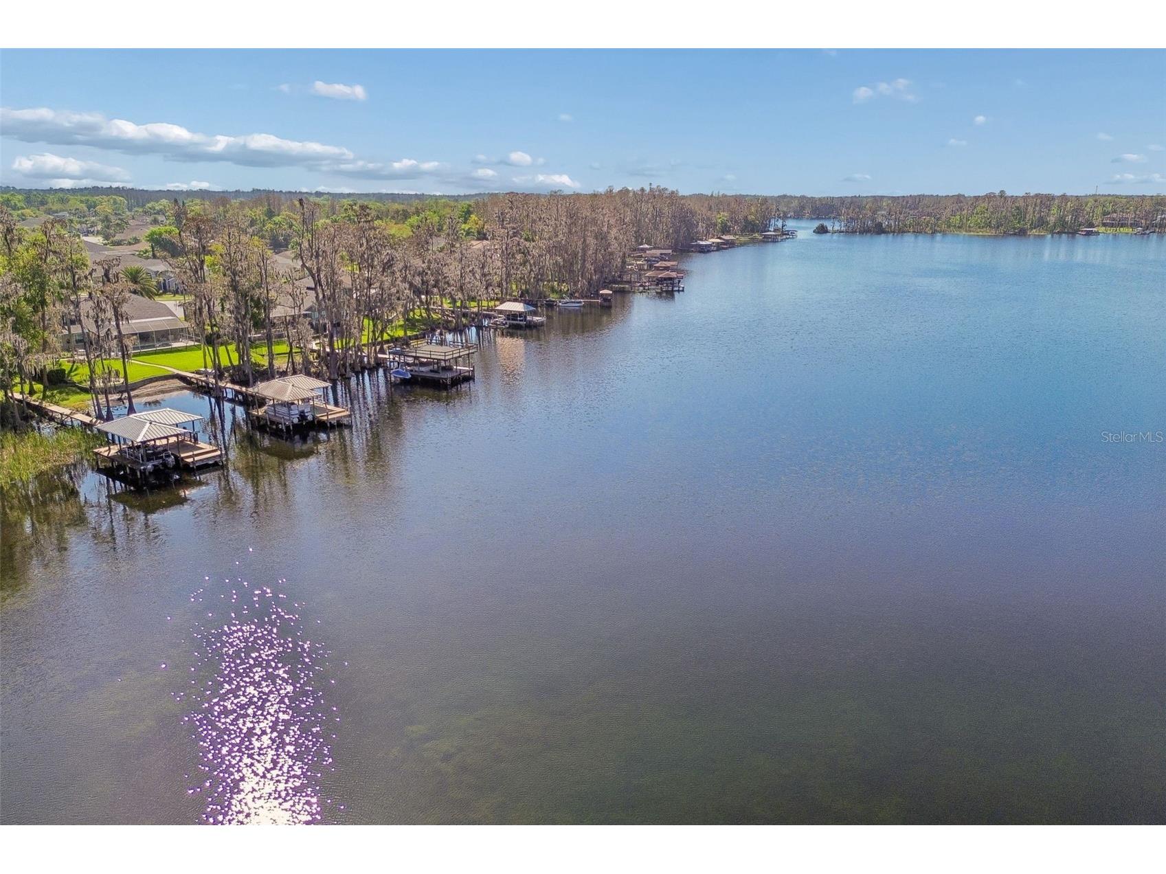 21314 Marsh Hawk Drive Land O Lakes FL 34638 W7884103 image84