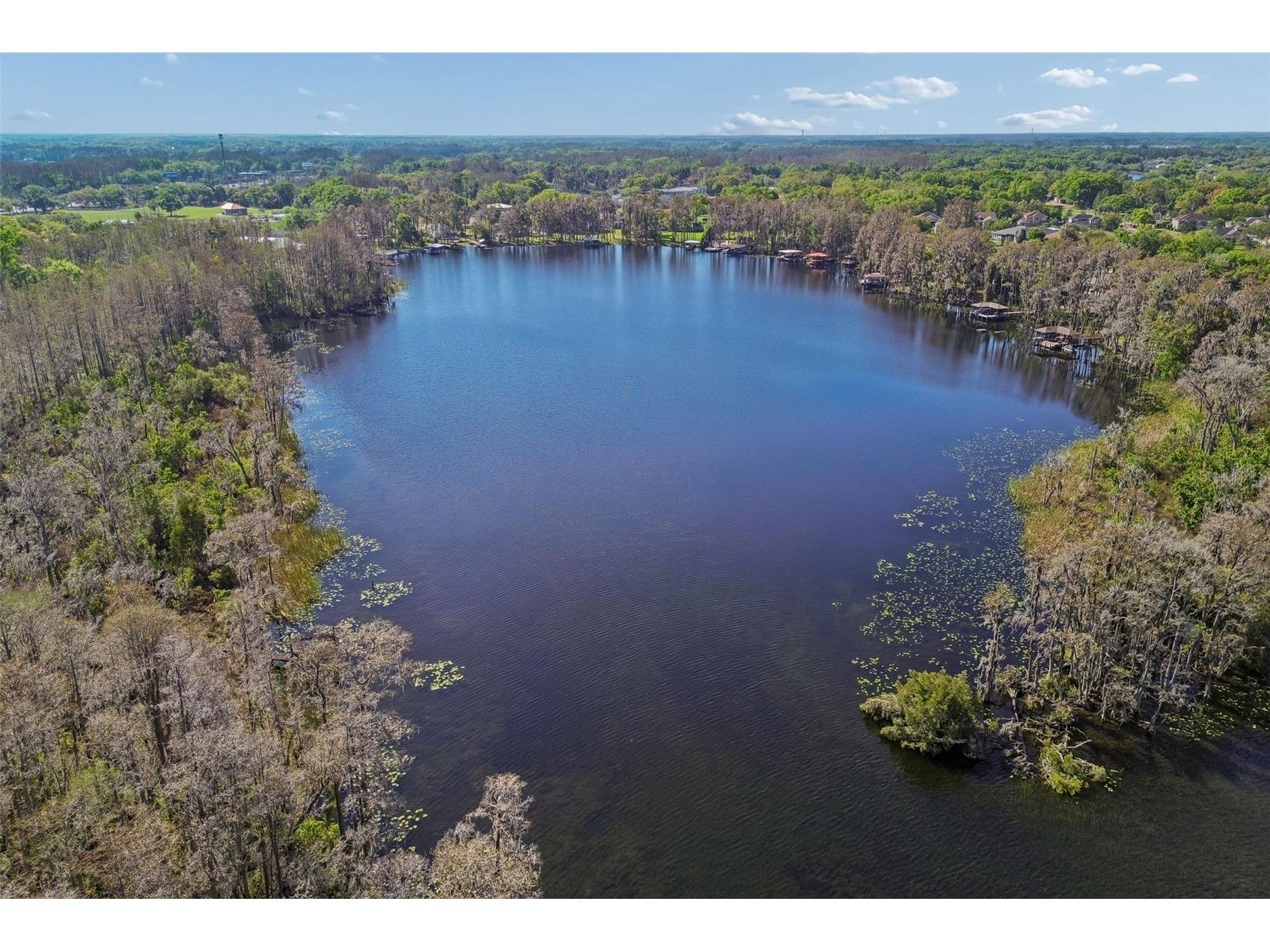 21314 Marsh Hawk Drive Land O Lakes FL 34638 W7884103 image85