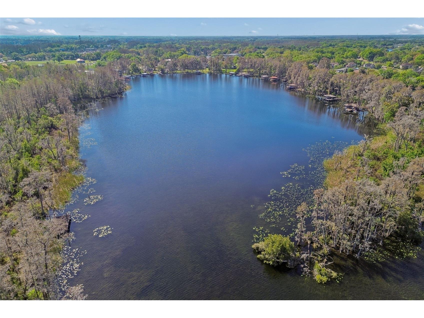 21314 Marsh Hawk Drive Land O Lakes FL 34638 W7884103 image86