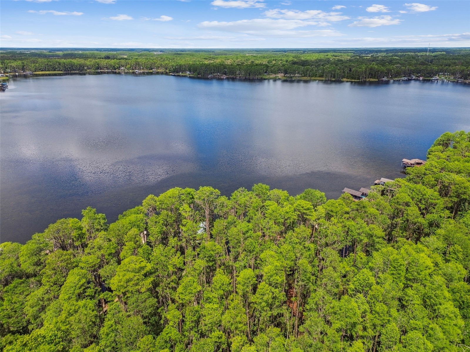 21314 Marsh Hawk Drive Land O Lakes FL 34638 W7884103 image87