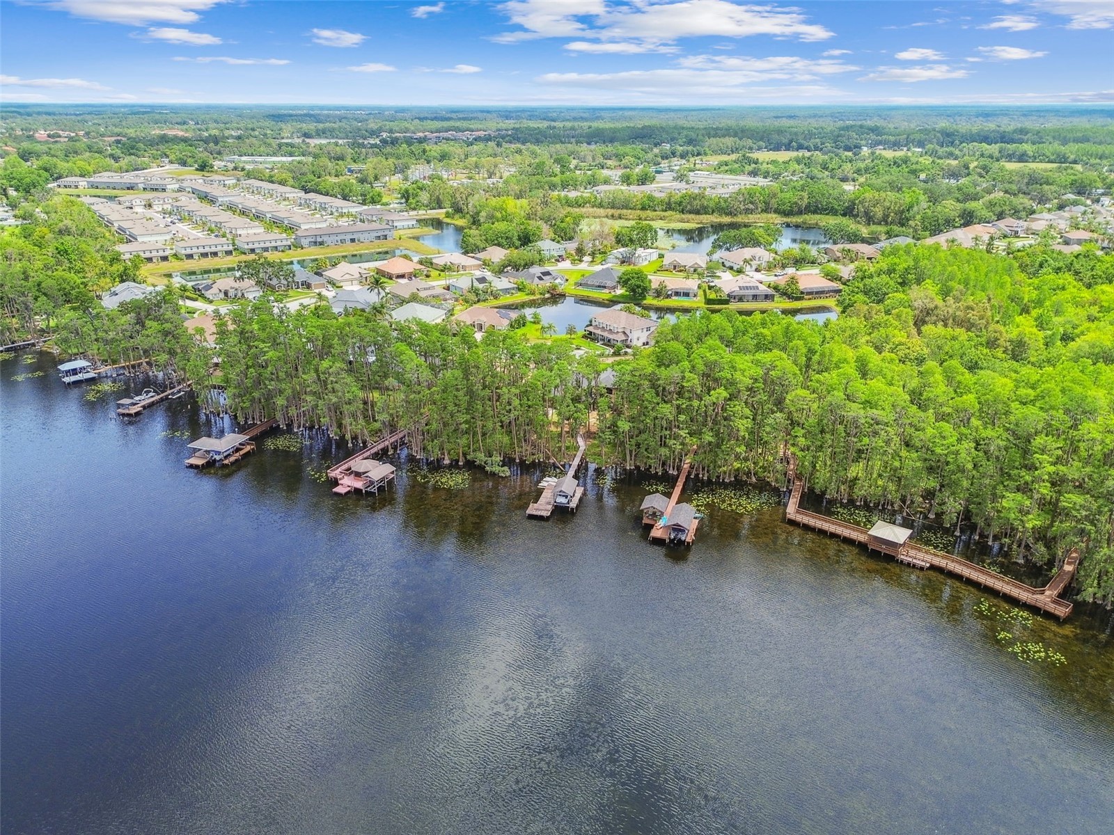 21314 Marsh Hawk Drive Land O Lakes FL 34638 W7884103 image88
