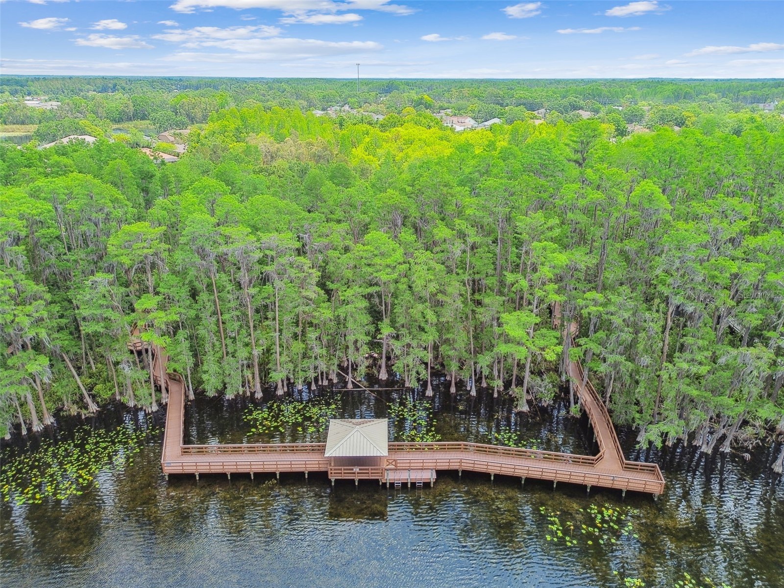 21314 Marsh Hawk Drive Land O Lakes FL 34638 W7884103 image89
