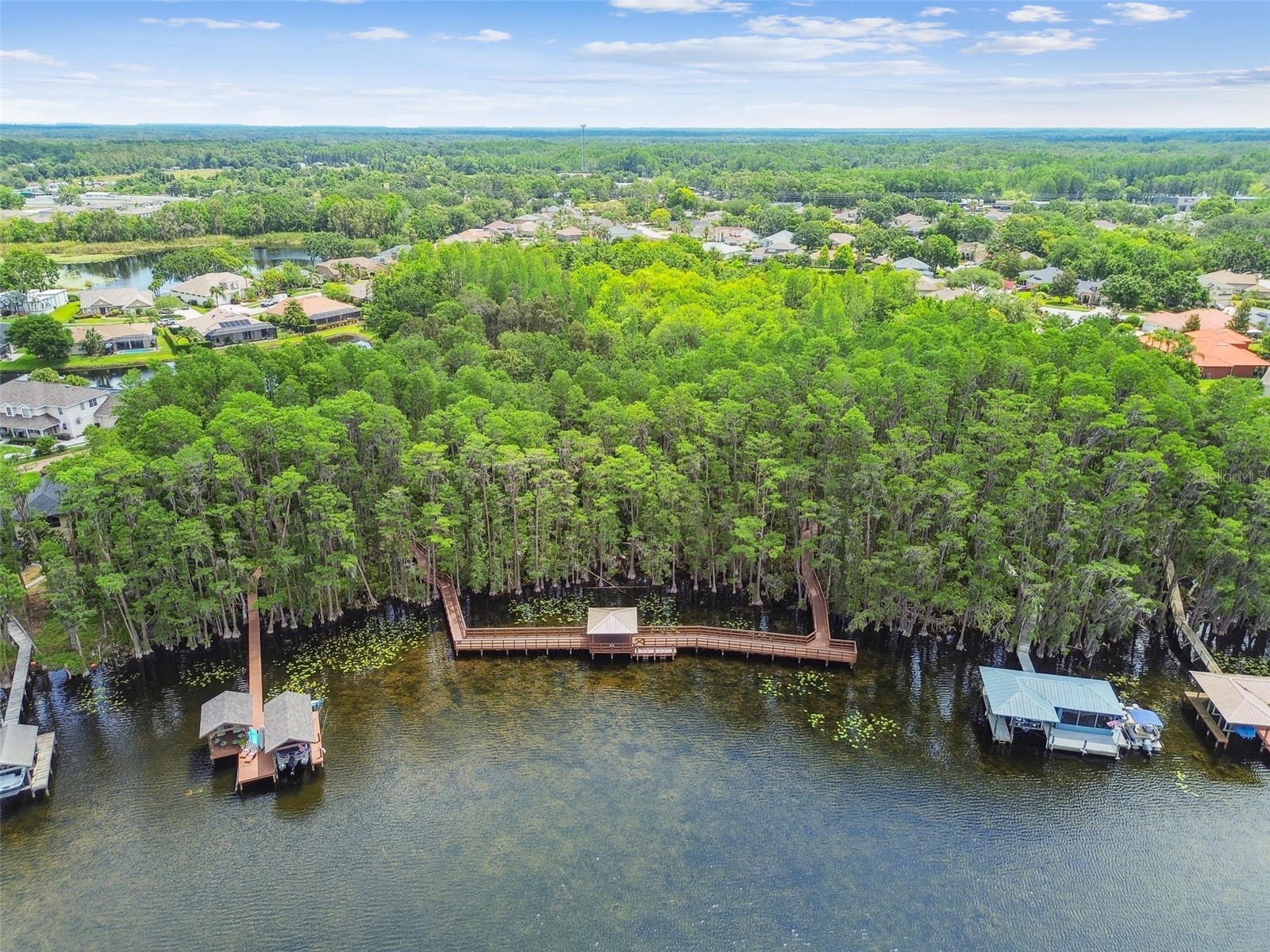 21314 Marsh Hawk Drive Land O Lakes FL 34638 W7884103 image90