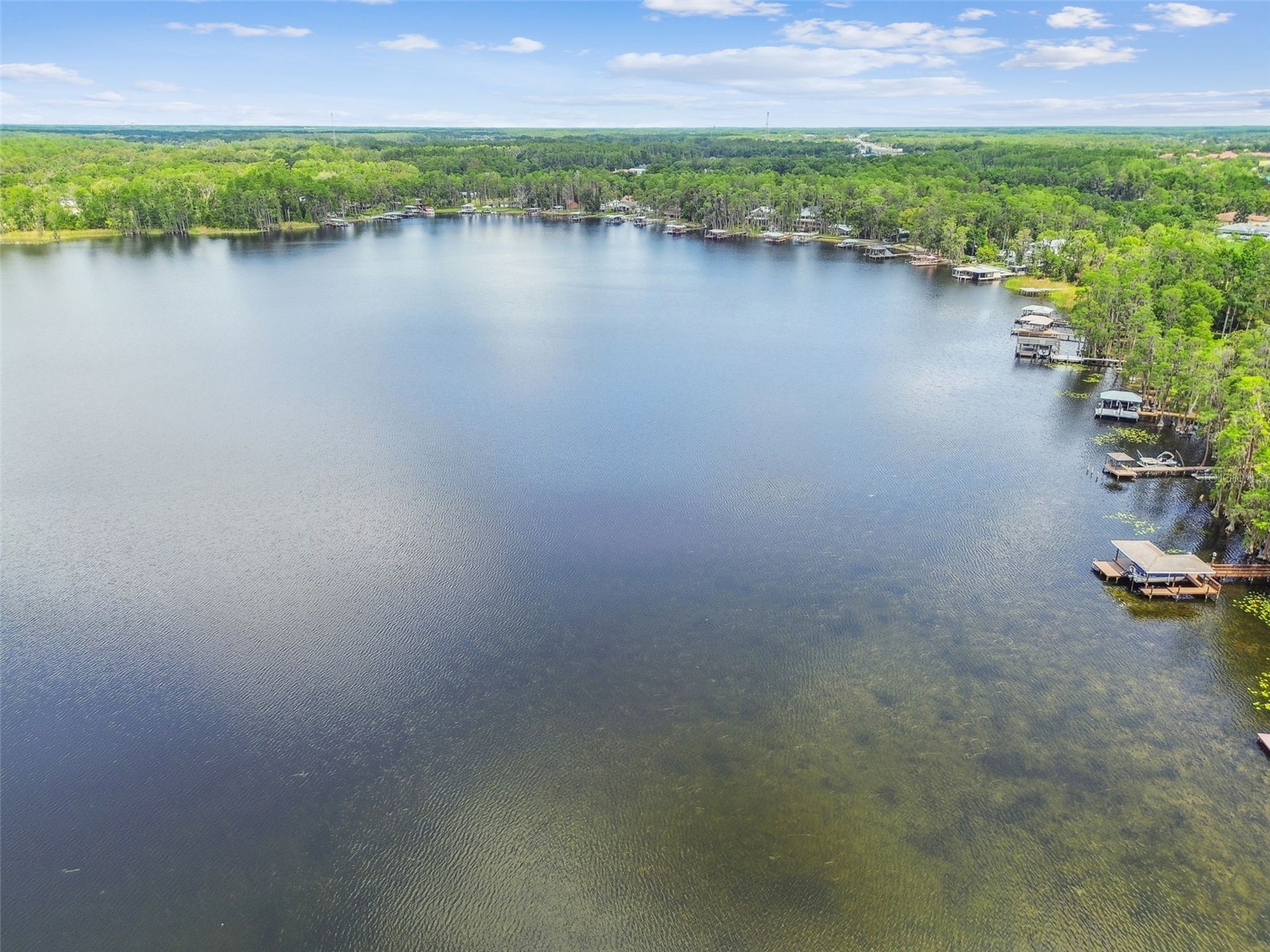 21314 Marsh Hawk Drive Land O Lakes FL 34638 W7884103 image91