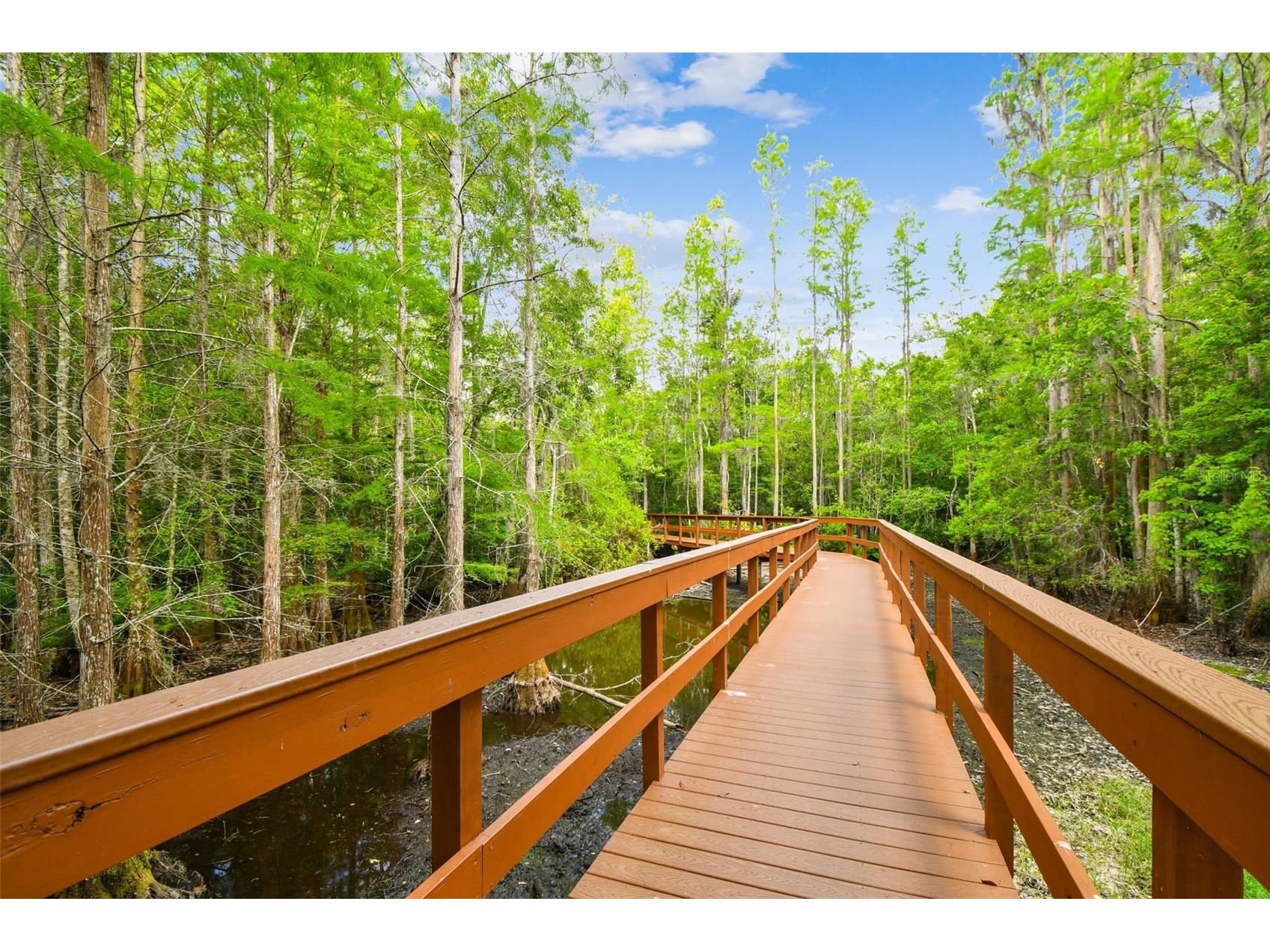 21314 Marsh Hawk Drive Land O Lakes FL 34638 W7884103 image93