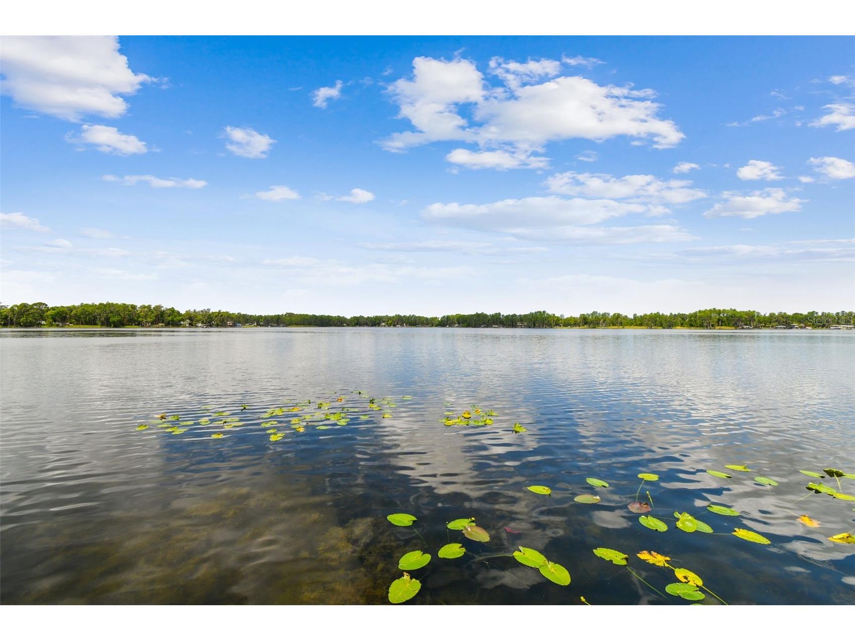 21314 Marsh Hawk Drive Land O Lakes FL 34638 W7884103 image94