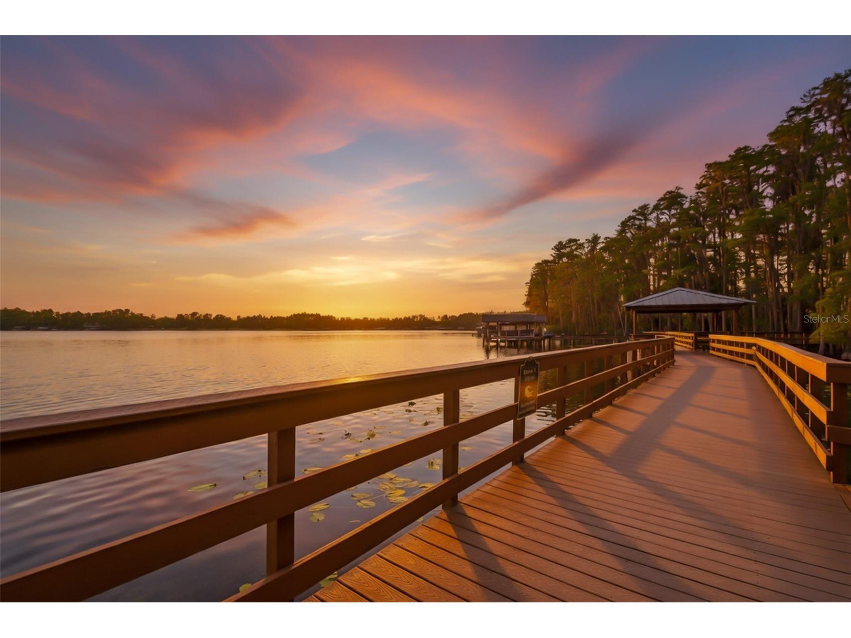 21314 Marsh Hawk Drive Land O Lakes FL 34638 W7884103 image95