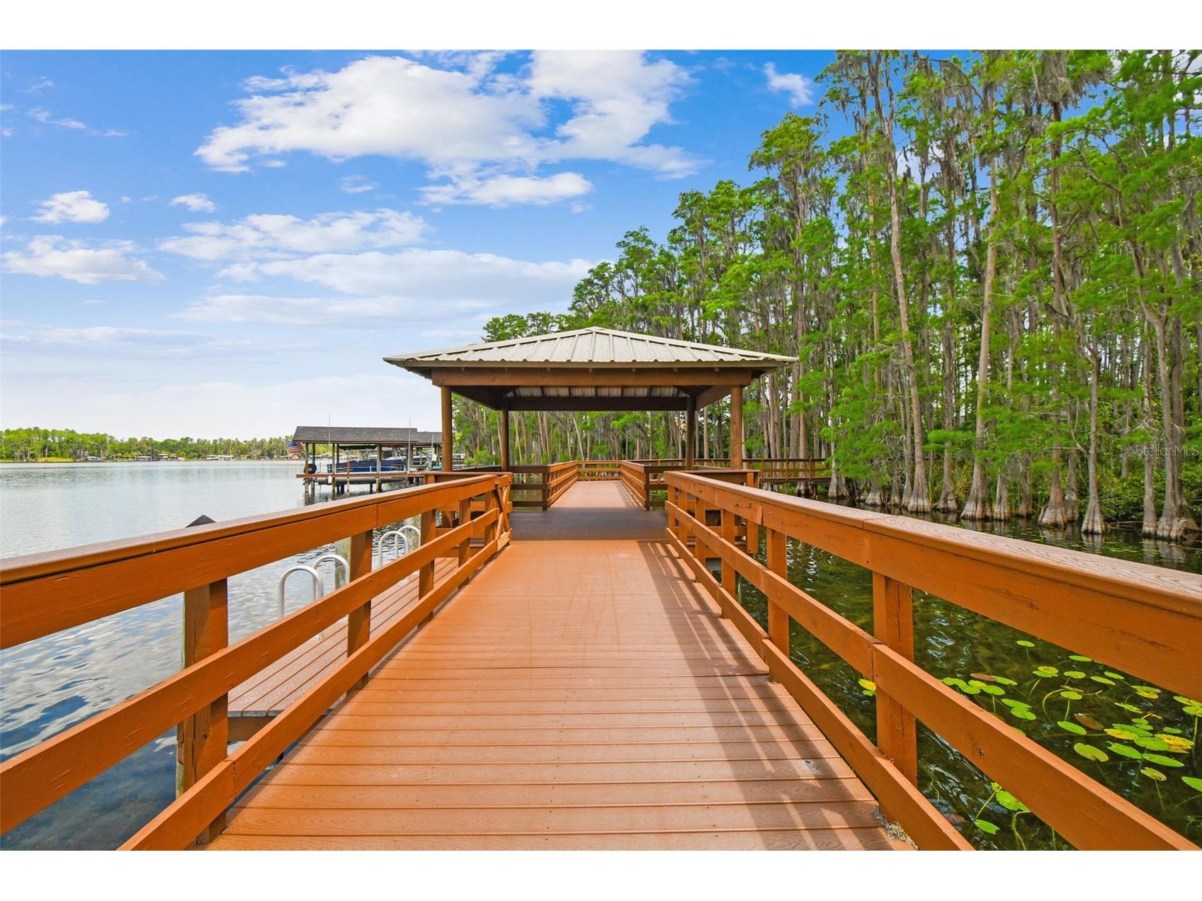 21314 Marsh Hawk Drive Land O Lakes FL 34638 W7884103 image96