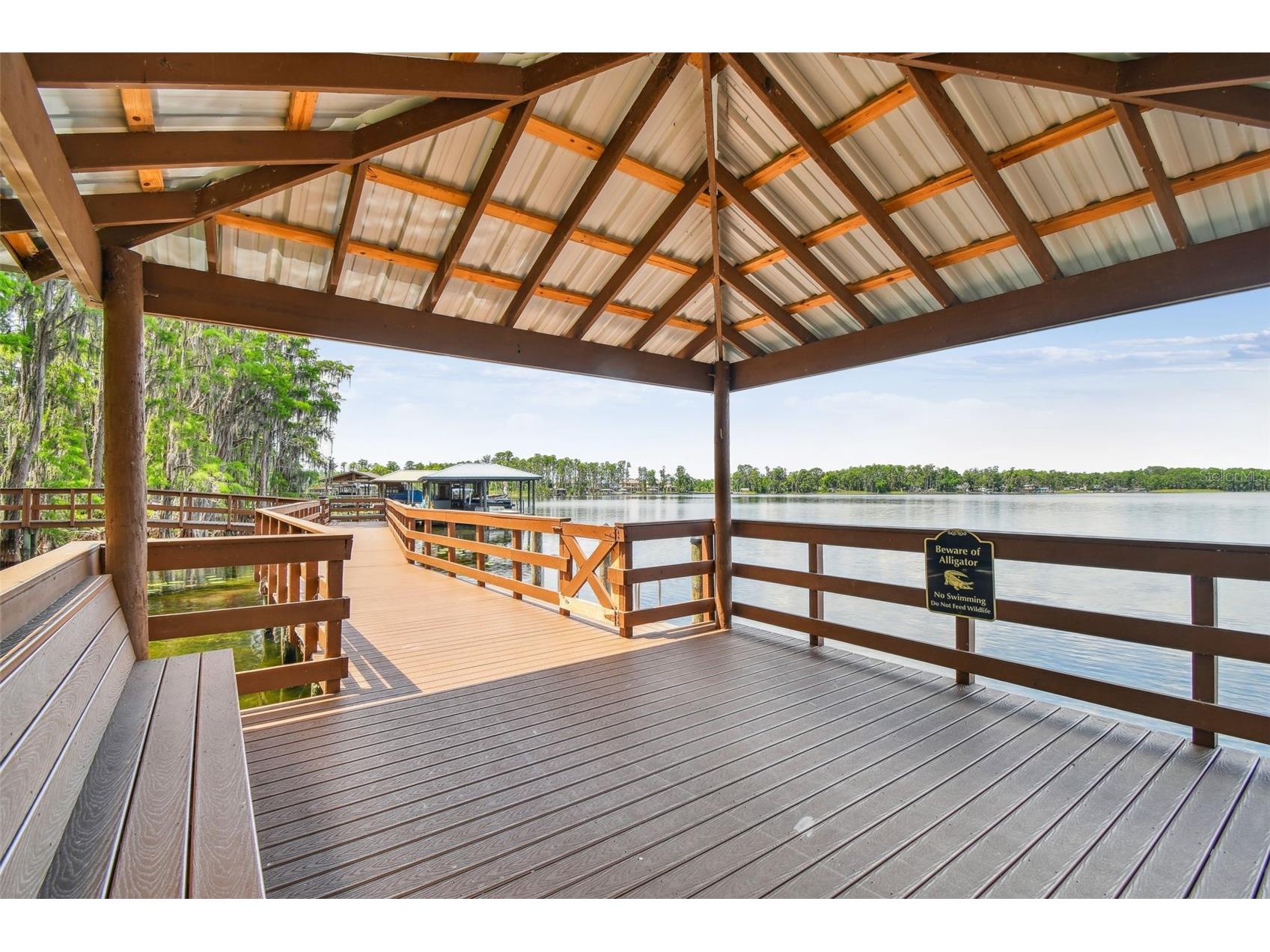 21314 Marsh Hawk Drive Land O Lakes FL 34638 W7884103 image97
