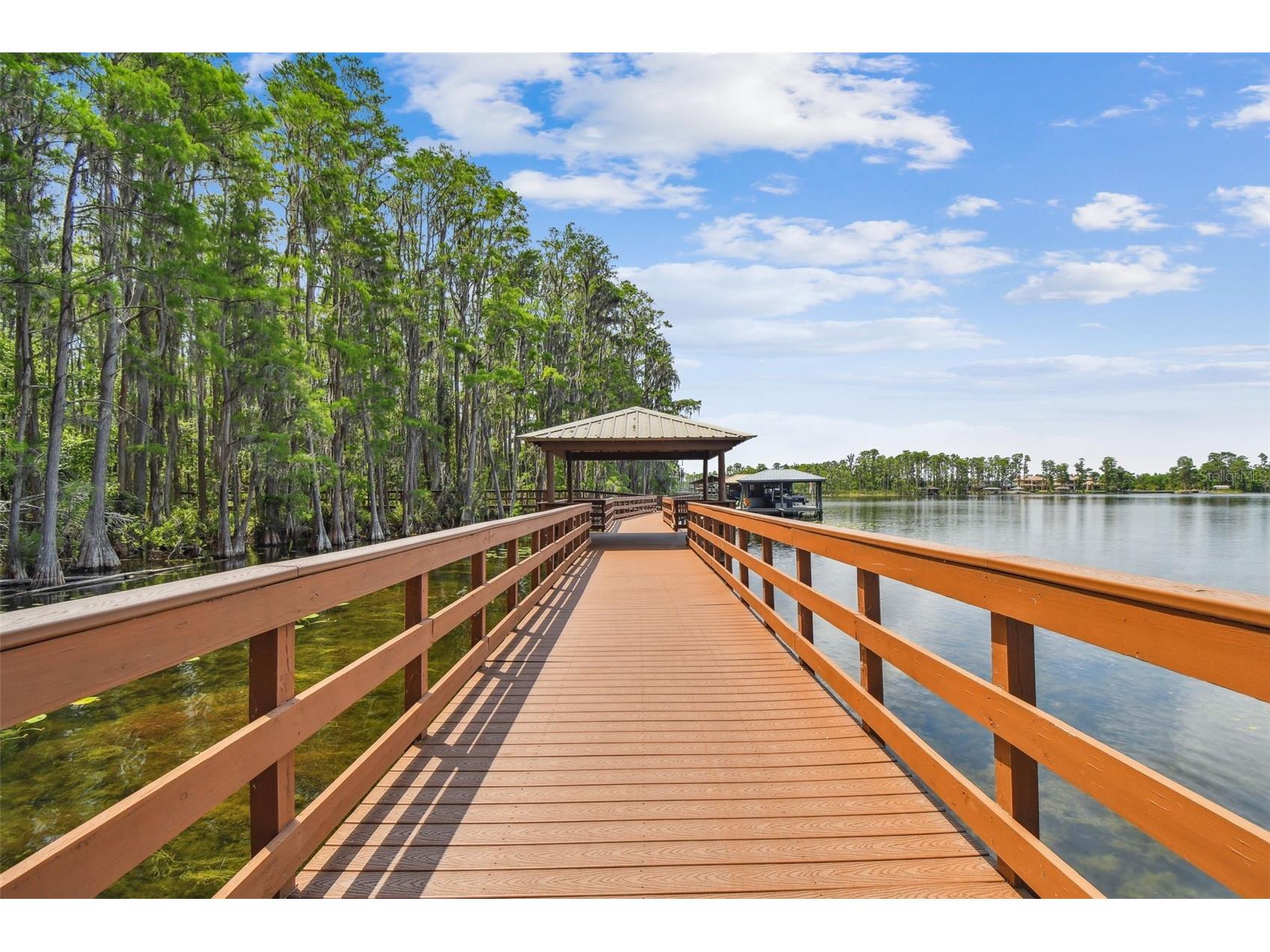 21314 Marsh Hawk Drive Land O Lakes FL 34638 W7884103 image98