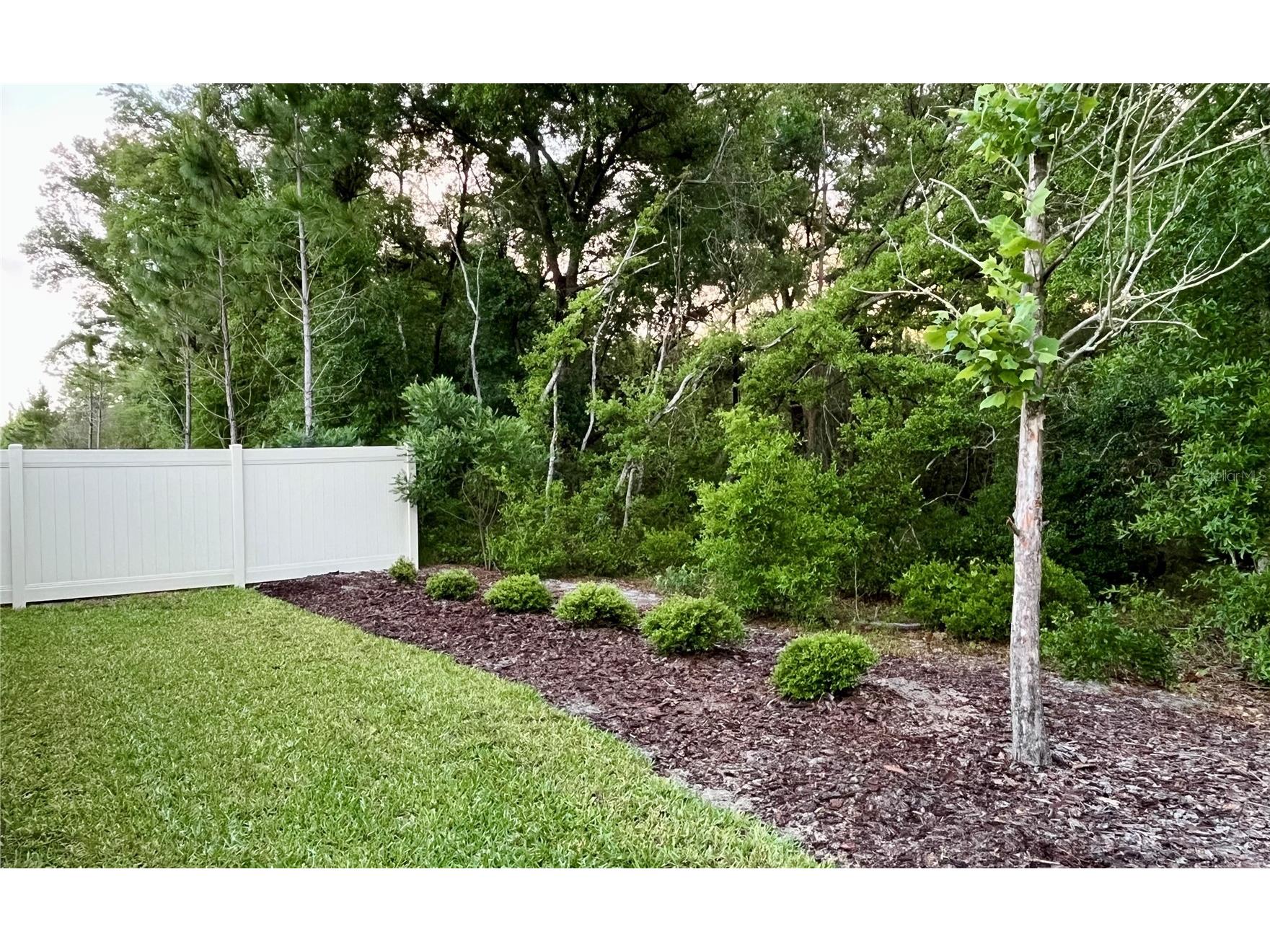 2132 Canopy Terrace Boulevard Deland FL 32724 V4948706 image32