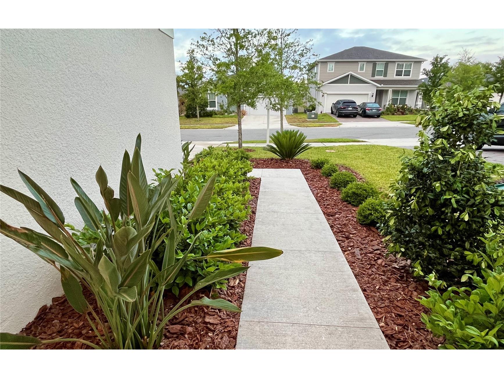 2132 Canopy Terrace Boulevard Deland FL 32724 V4948706 image8
