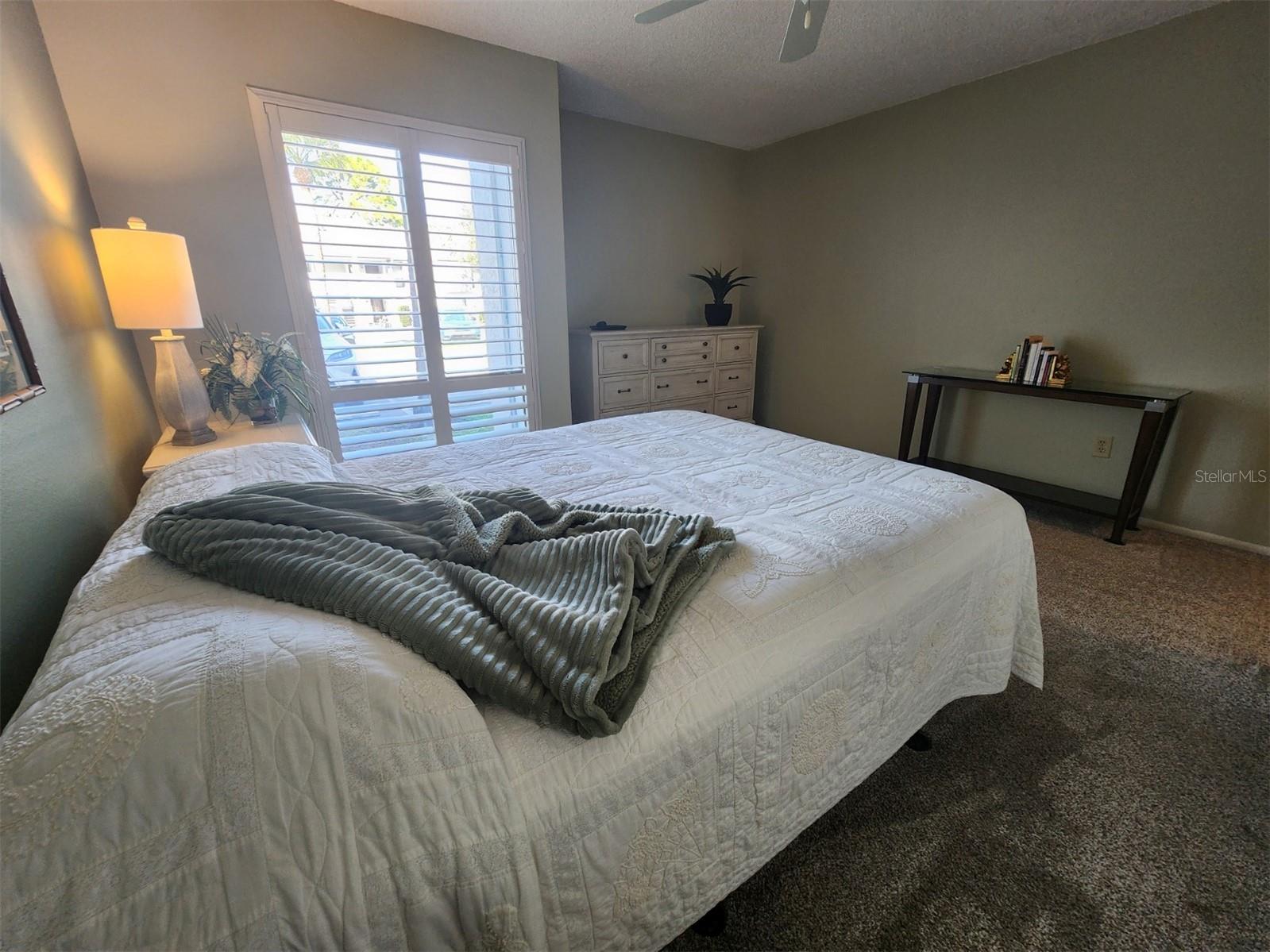 2132 Lakewood Club Drive S #8B Saint Petersburg FL 33712 TB8460681 image14