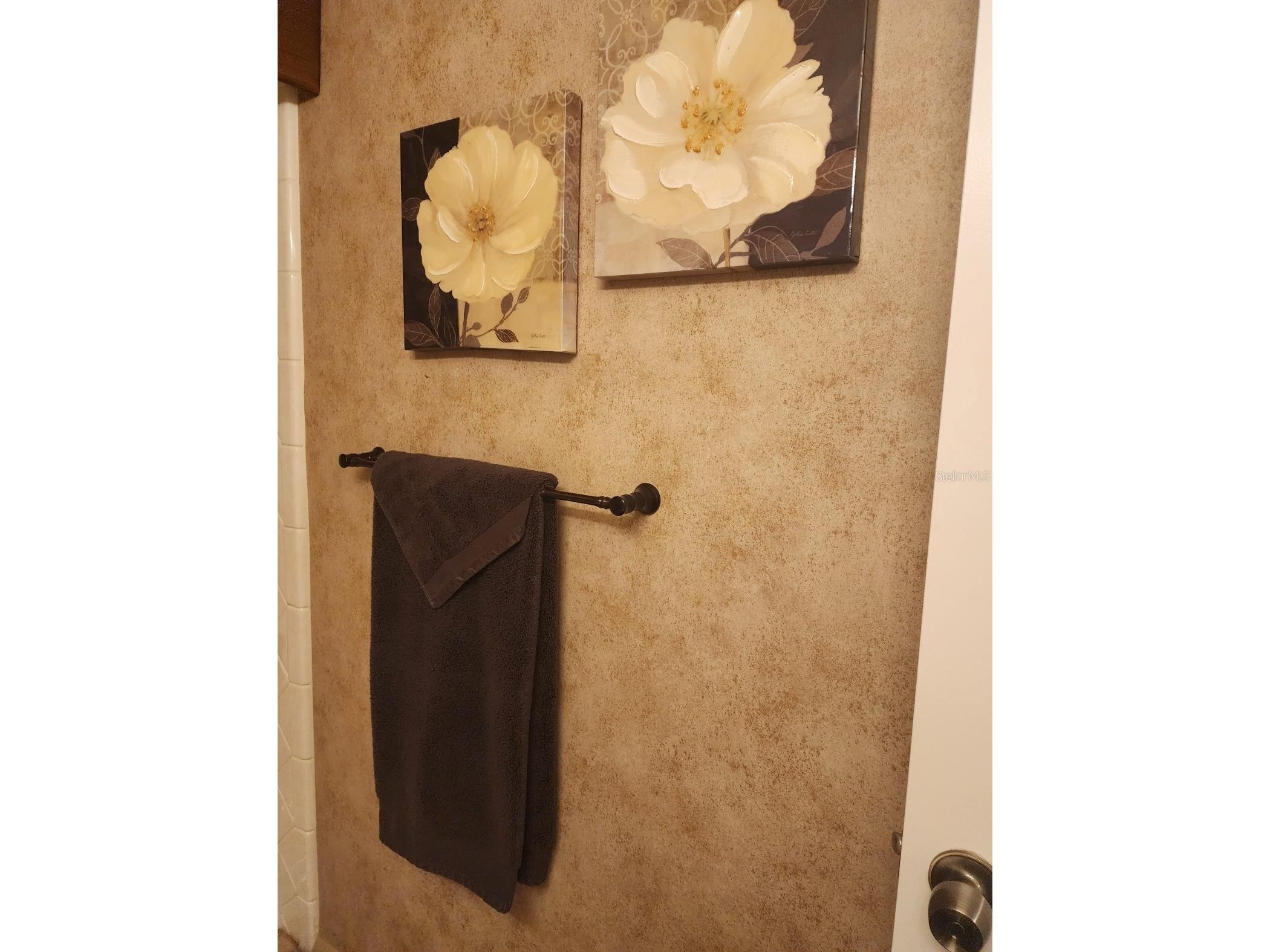 2132 Lakewood Club Drive S #8B Saint Petersburg FL 33712 TB8460681 image18