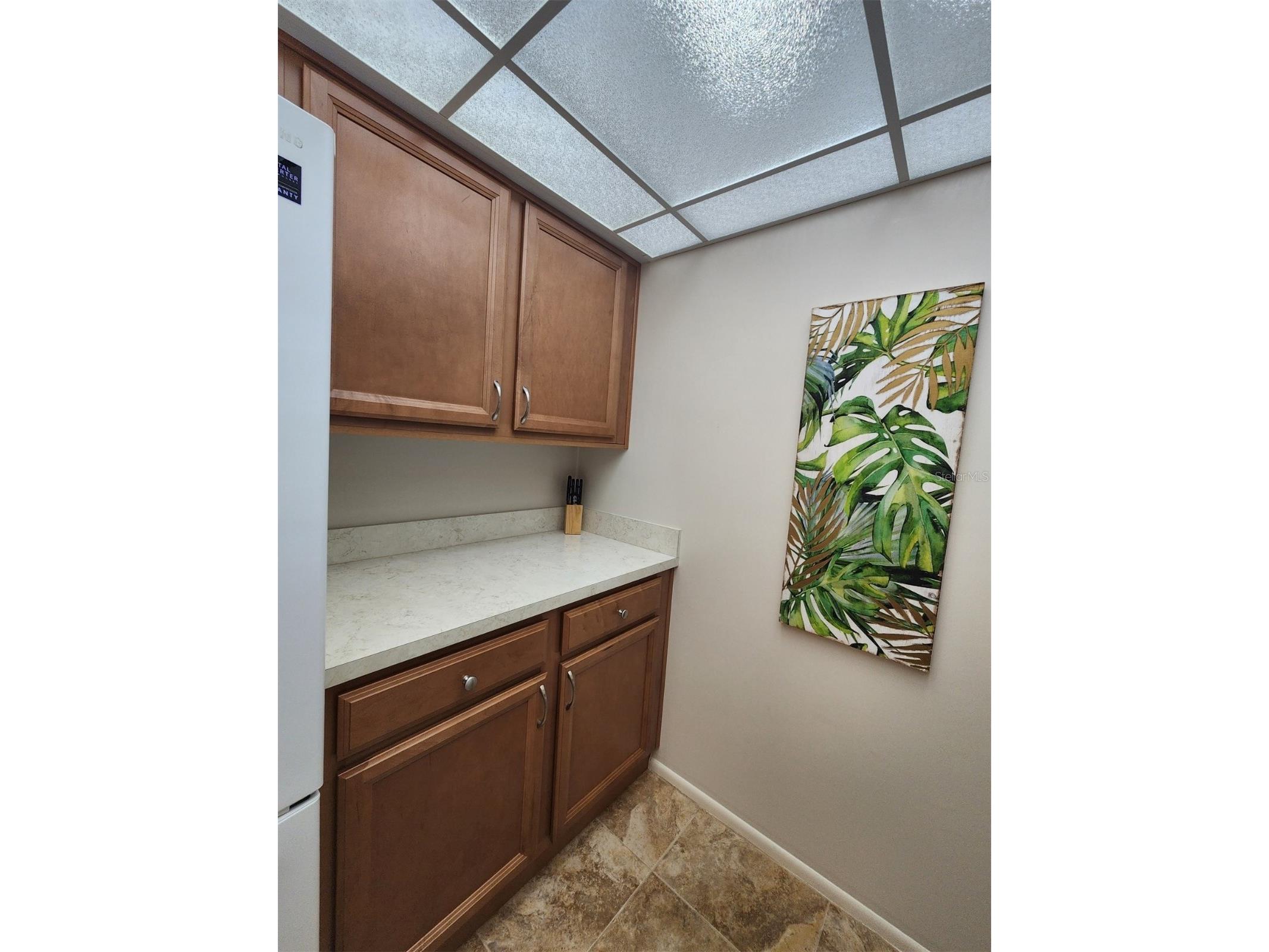 2132 Lakewood Club Drive S #8B Saint Petersburg FL 33712 TB8460681 image24