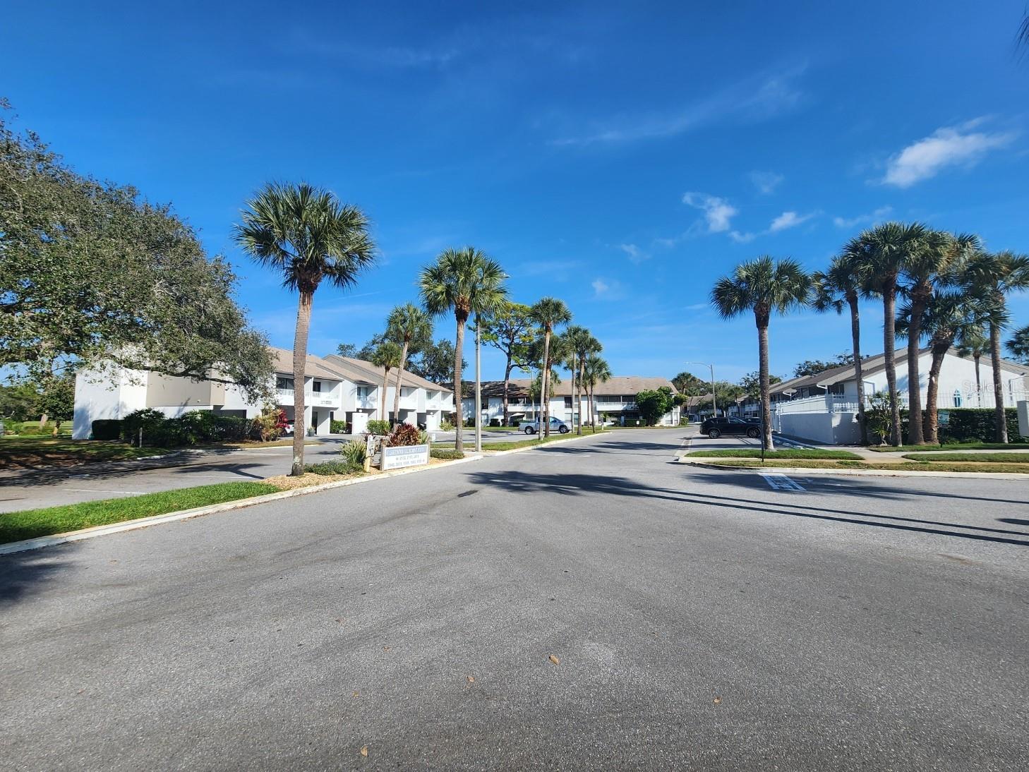 2132 Lakewood Club Drive S #8B Saint Petersburg FL 33712 TB8460681 image37