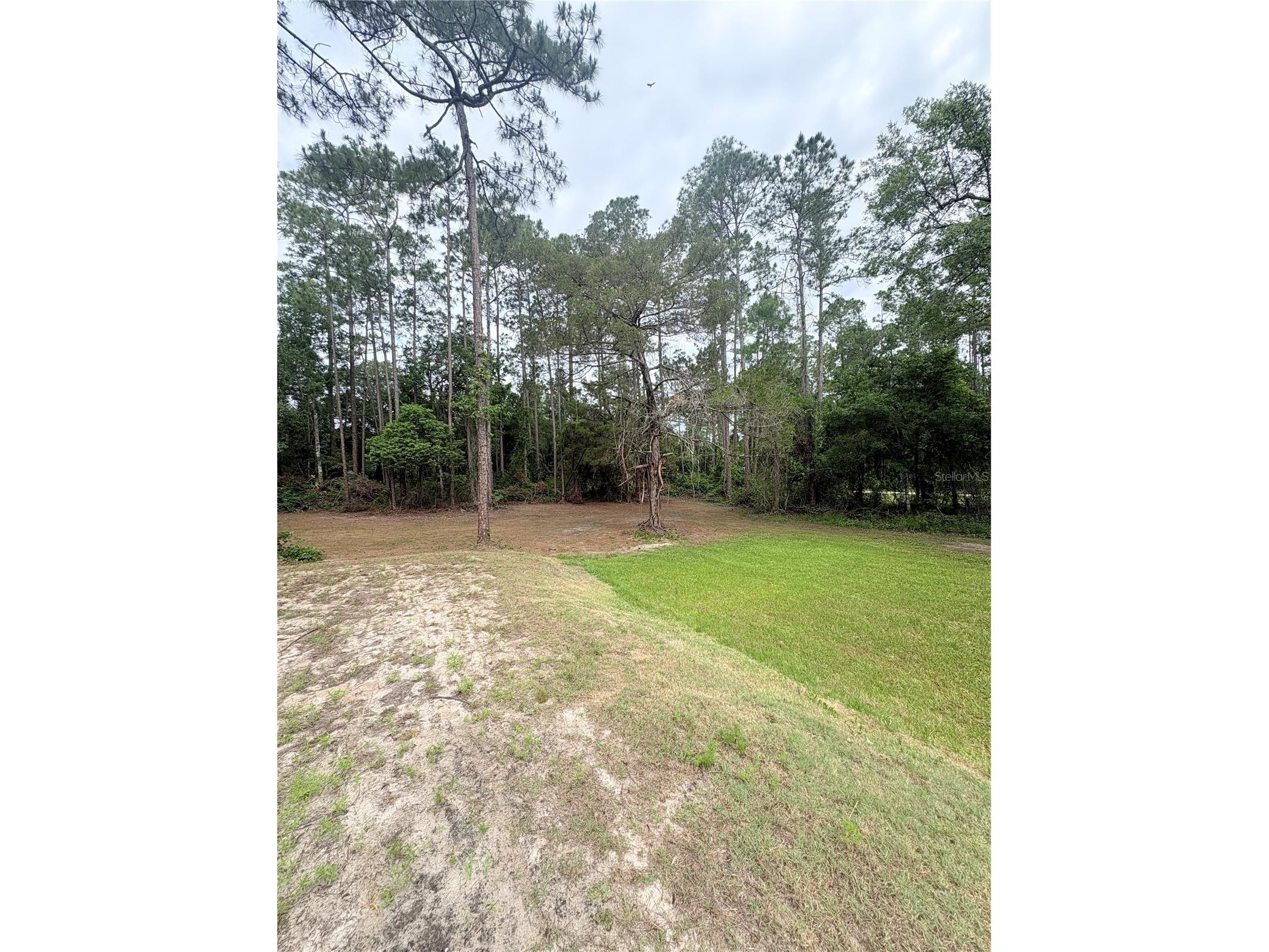 2132 Lancewood Street Bunnell FL 32110 FC300340 image32