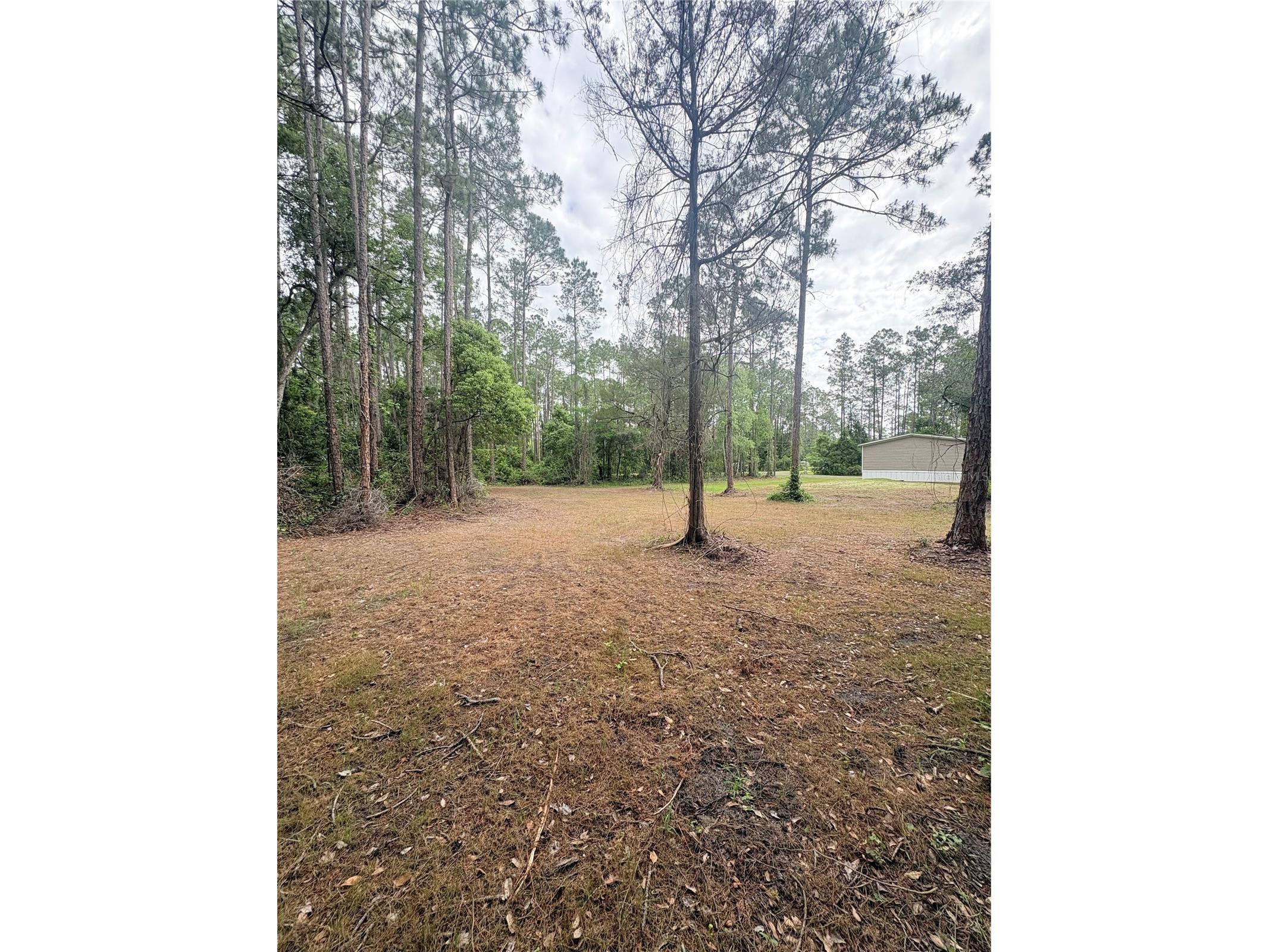 2132 Lancewood Street Bunnell FL 32110 FC300340 image33