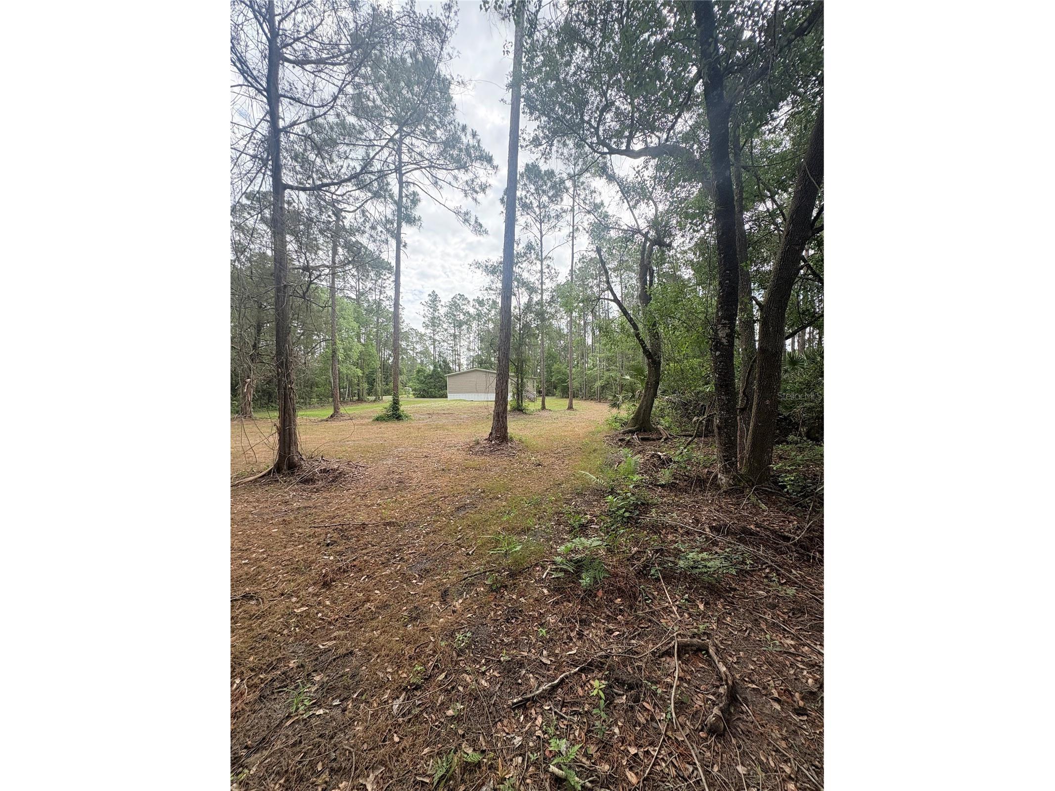 2132 Lancewood Street Bunnell FL 32110 FC300340 image34