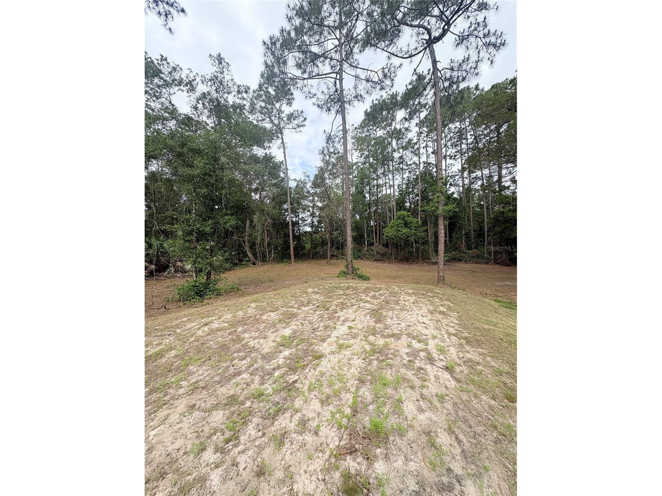 2132 Lancewood Street Bunnell FL 32110 FC300340 image37