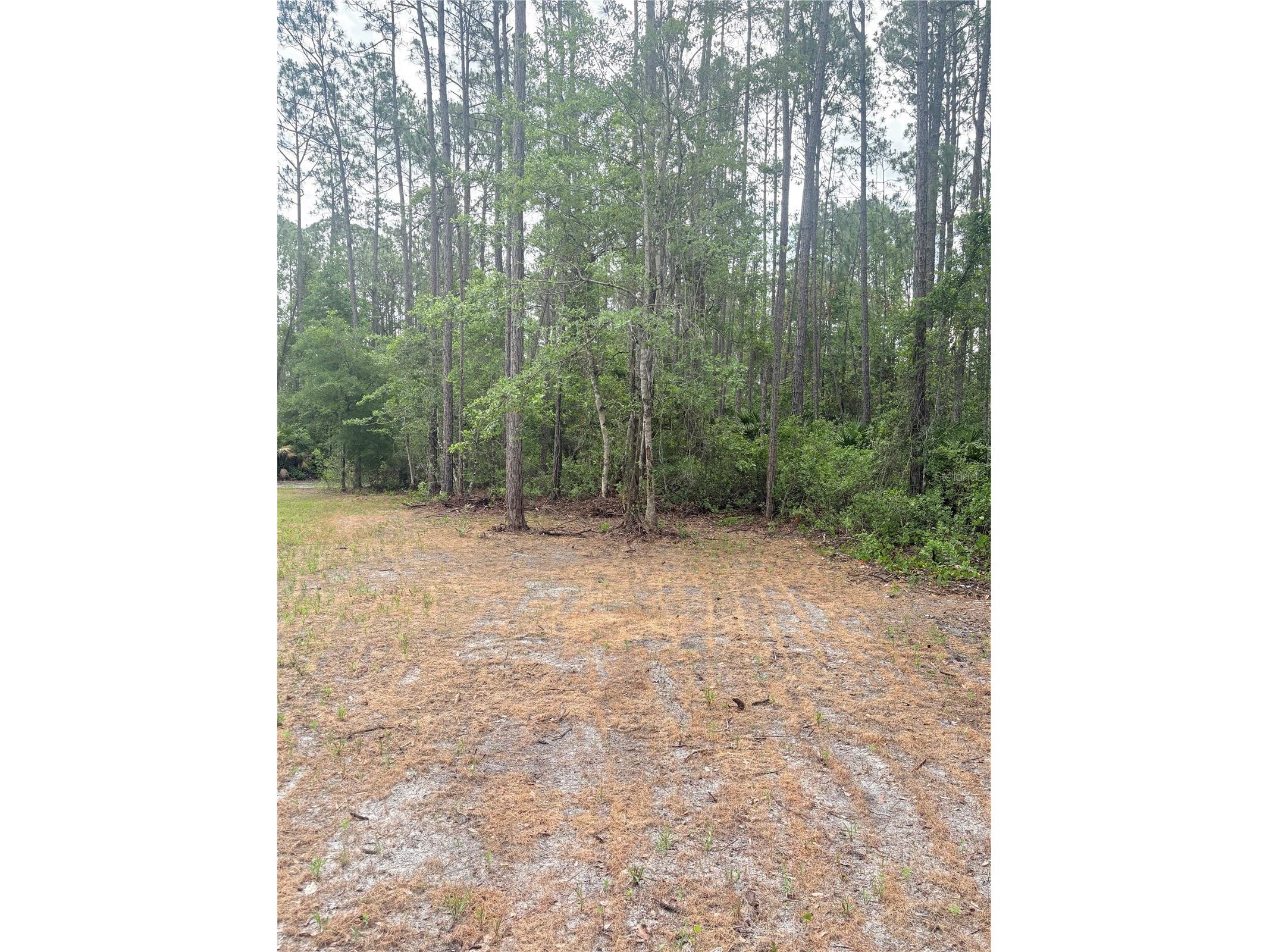2132 Lancewood Street Bunnell FL 32110 FC300340 image39