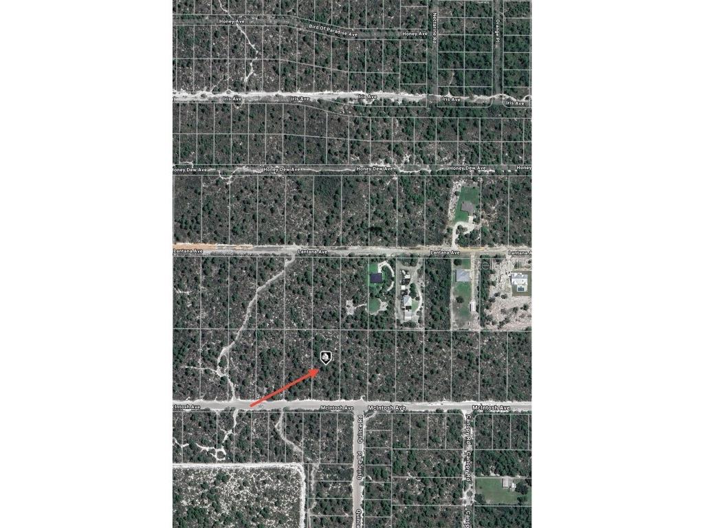 2132 Macintosh Avenue Sebring FL 33875 O6362538 image5