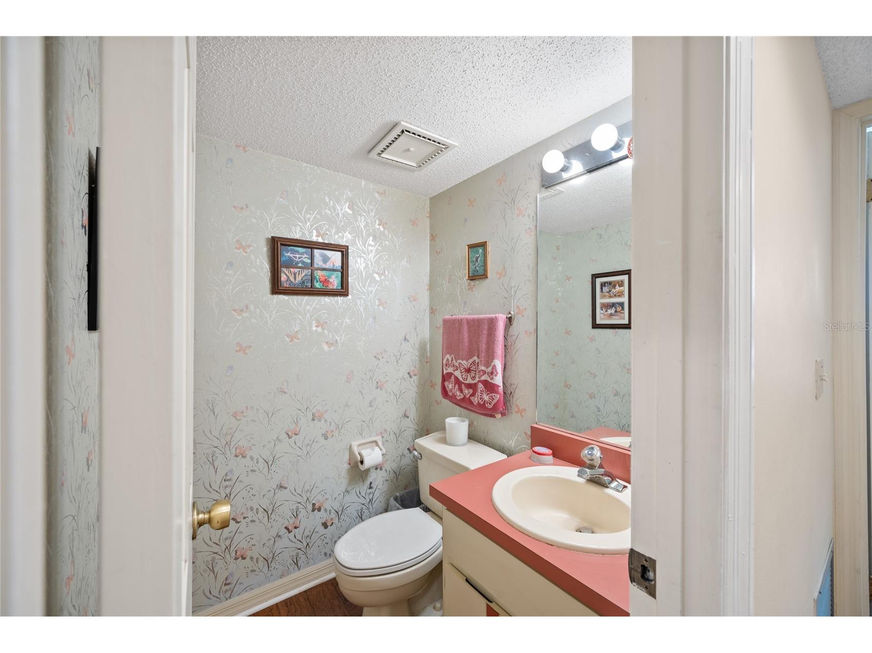 2132 Palm Vista Drive Apopka FL 32712 O6386479 image15