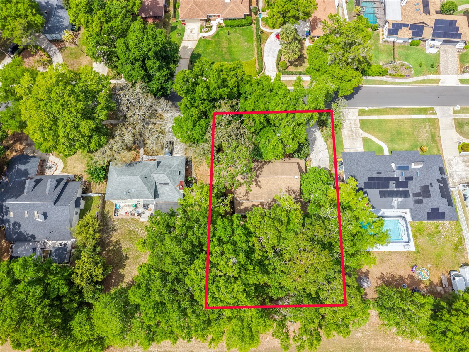 2132 Palm Vista Drive Apopka FL 32712 O6386479 image39