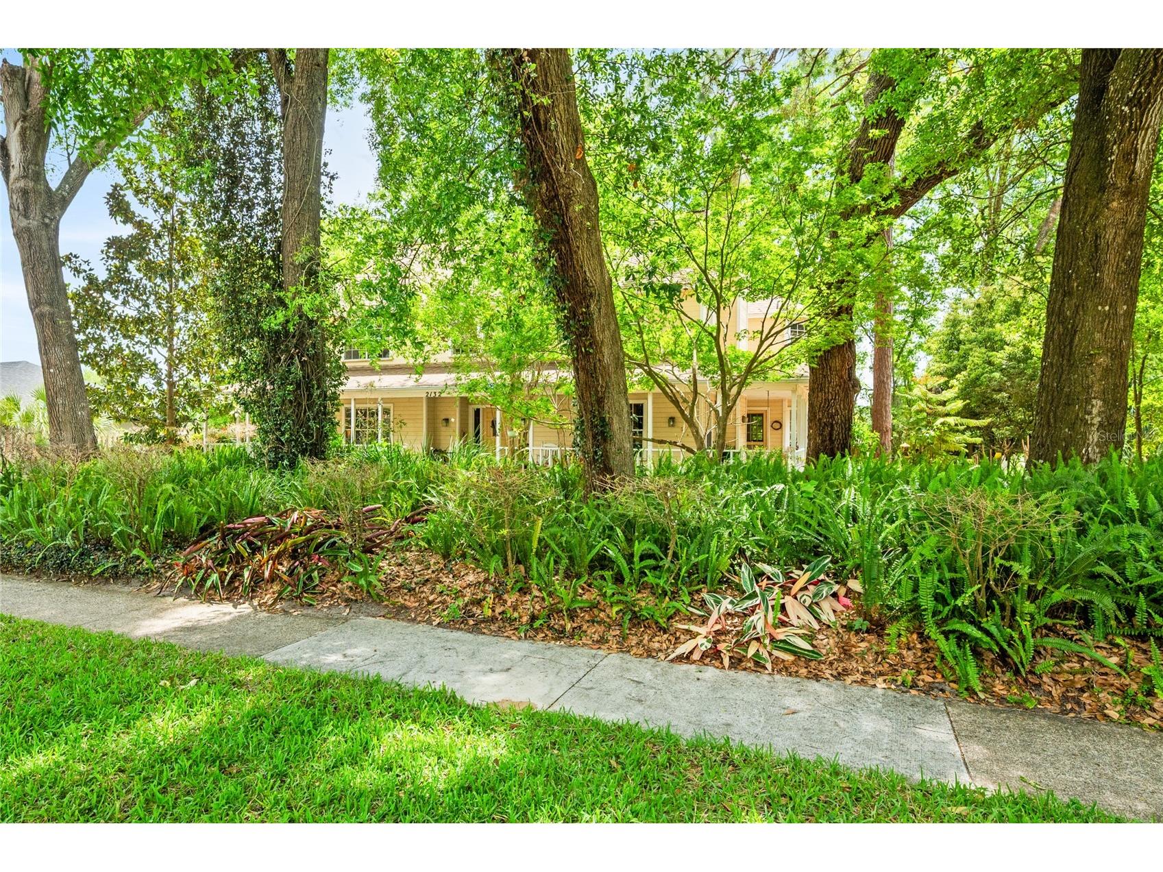 2132 Palm Vista Drive Apopka FL 32712 O6386479 image42