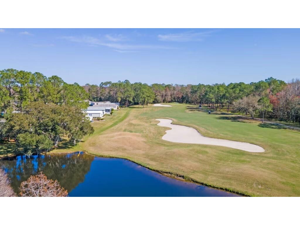 2132 Sabal Palm Lakeland FL 33809 L4961128 image18