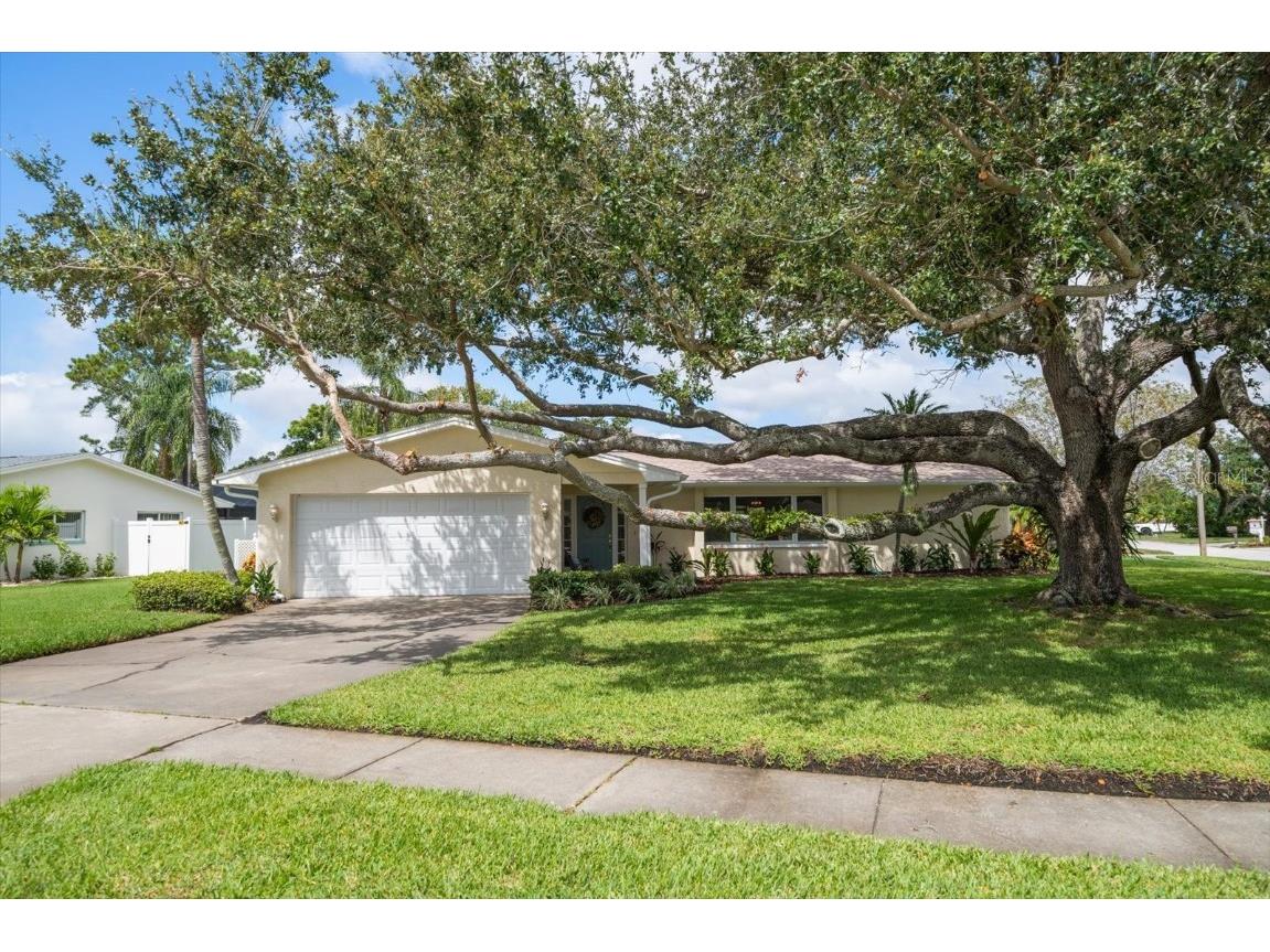 2132 Sandpiper Drive Clearwater FL 33764 TB8436915 image1