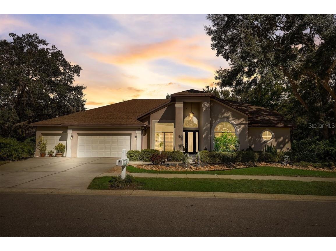 21323 Preservation Drive Land O Lakes FL 34638 - LAKE THOMAS T3482280 image1