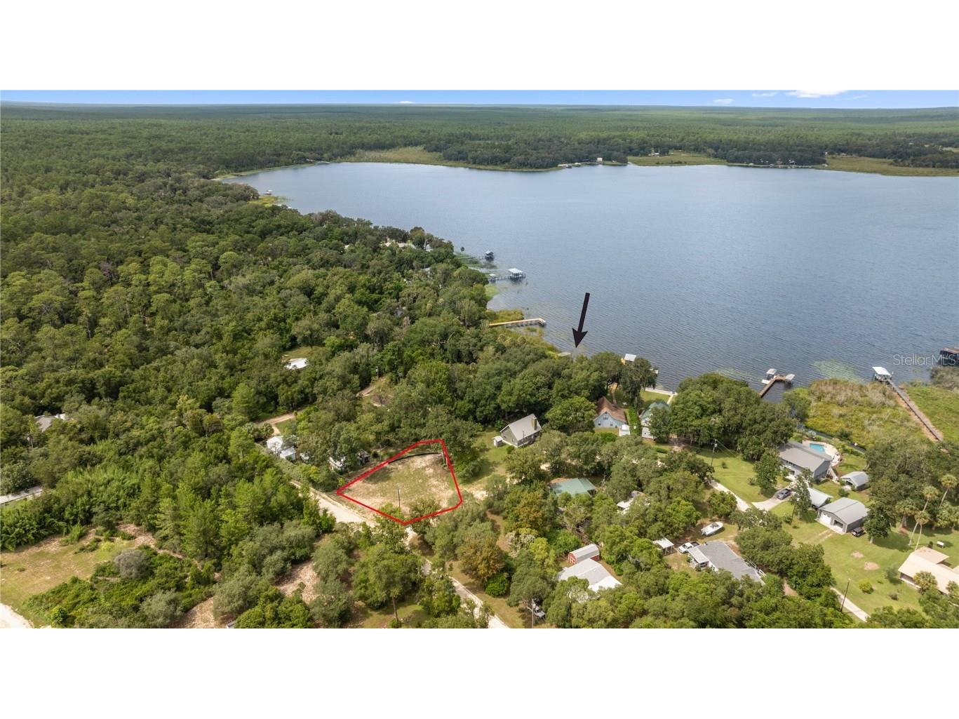 21325 NE 136th Street Salt Springs FL 32134 - LAKE KERR OM685649 image1