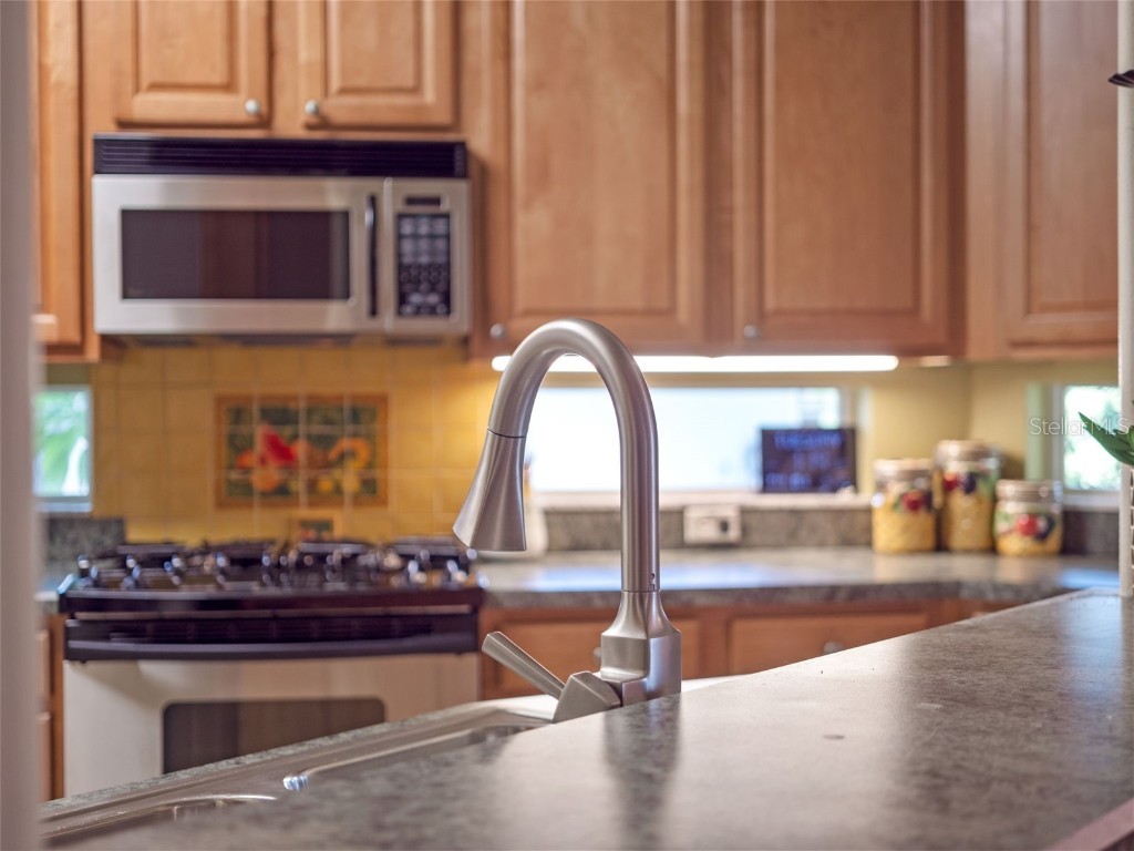 21325 Royal Troon Drive Leesburg FL 34748 G5098918 image21