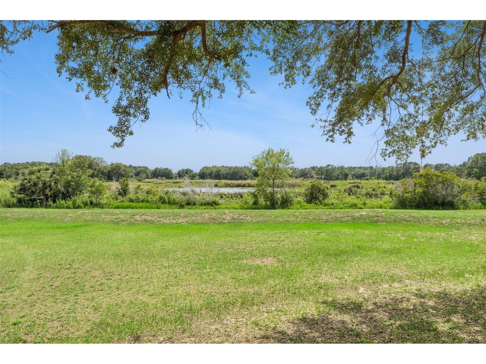 21325 Royal Troon Drive Leesburg FL 34748 O6412866 image33