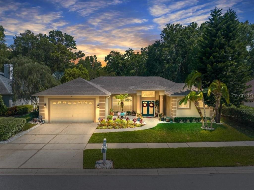21326 Preservation Drive Land O Lakes FL 34638 - LAKE THOMAS T3455791 image1