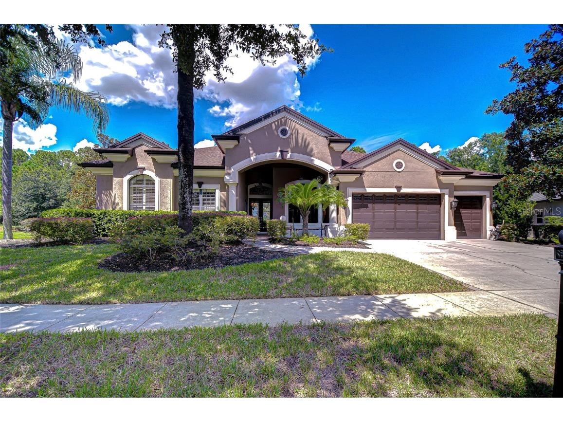 21327 Lake Vienna Drive Land O Lakes FL 34638 TB8426738 image1