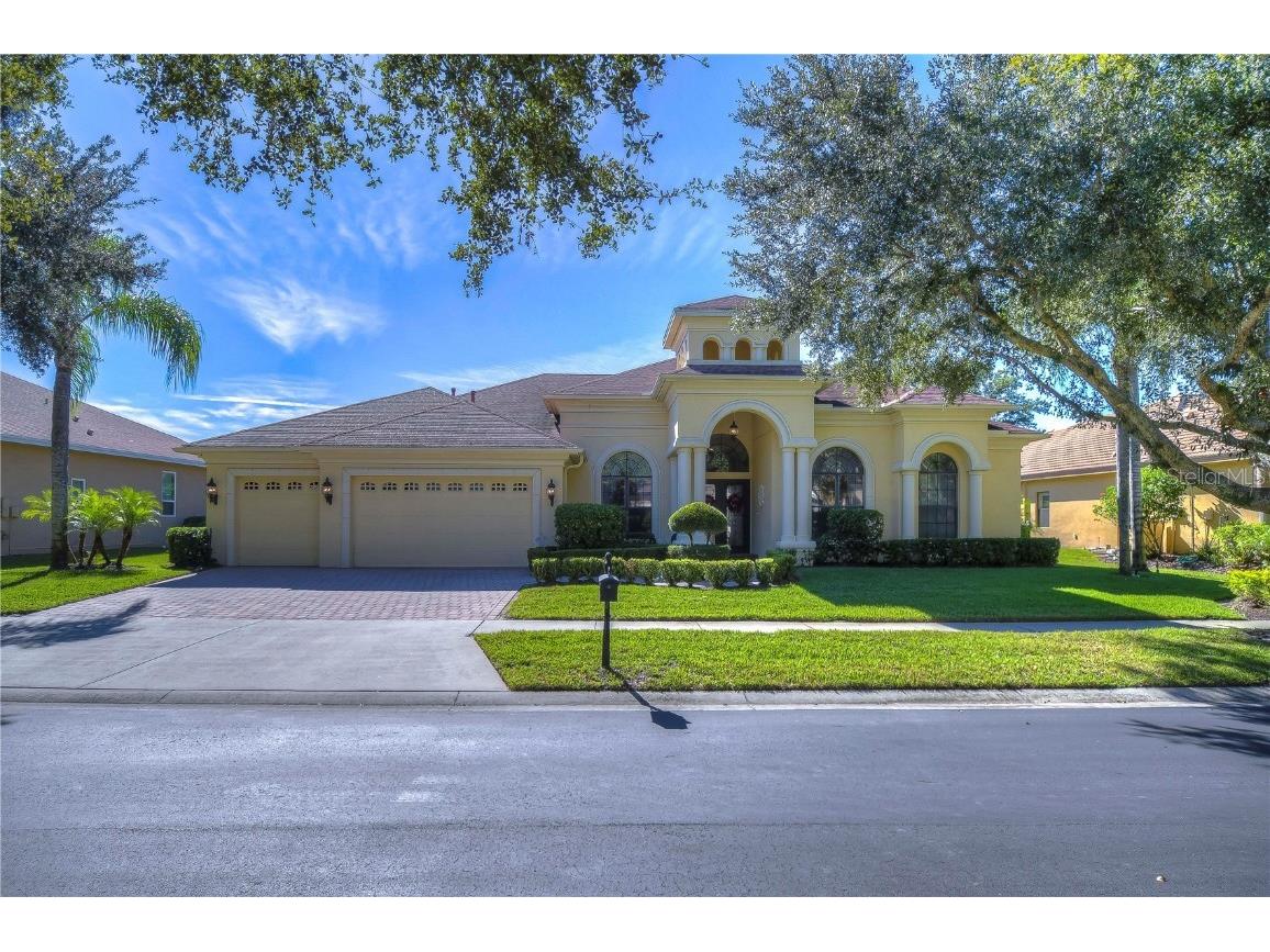 21328 Lake Vienna Drive Land O Lakes FL 34638 - LAKE VIENNA T3486035 image1