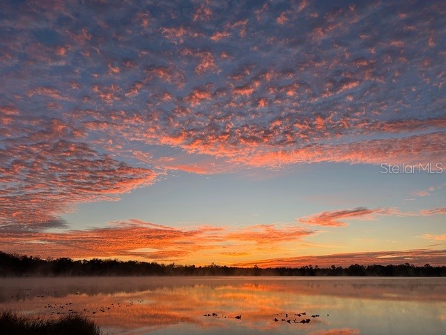 21329 SE 111th Avenue Hawthorne FL 32640 - LAKE JEFFORDS GC531741 image31