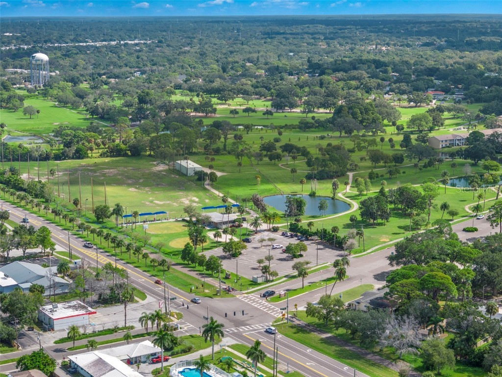 2133 Harbor View Drive Dunedin FL 34698 - CANAL - GULF OF MEXICO TB8425448 image82