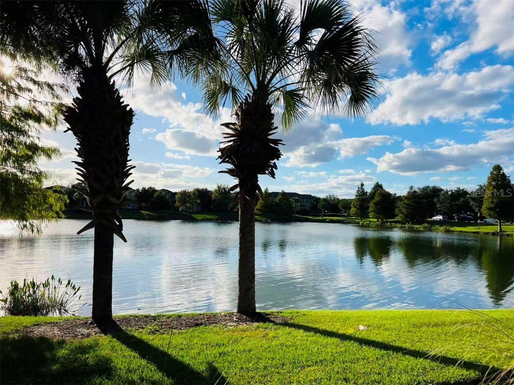 2133 Malta Terrace Kissimmee FL 34747 O6353812 image3