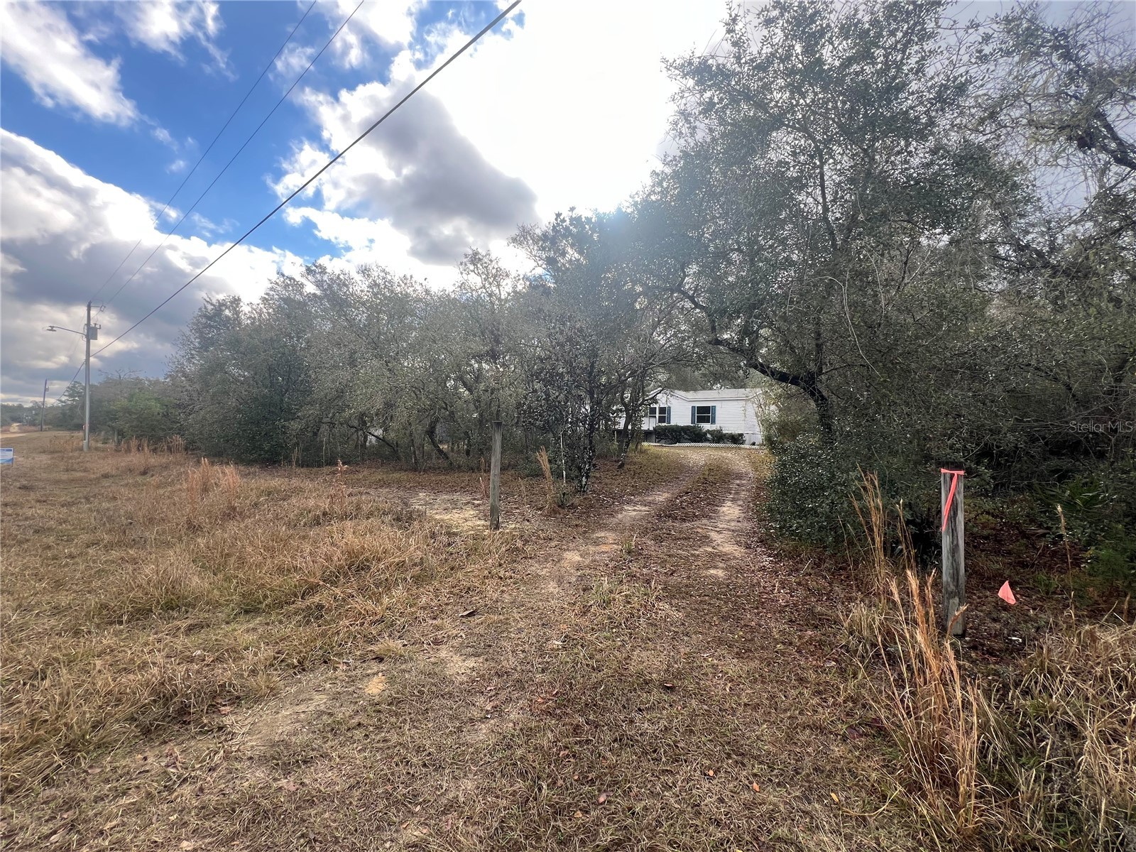 21330 NE 133rd Street Fort Mc Coy FL 32134 G5106916 image4