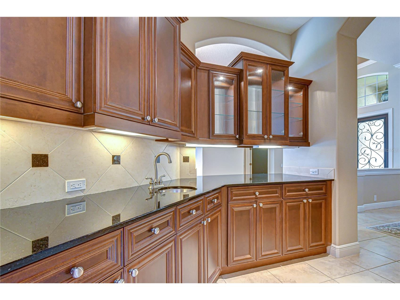 21338 Lake Vienna Drive Drive Land O Lakes FL 34638 TB8491068 image19