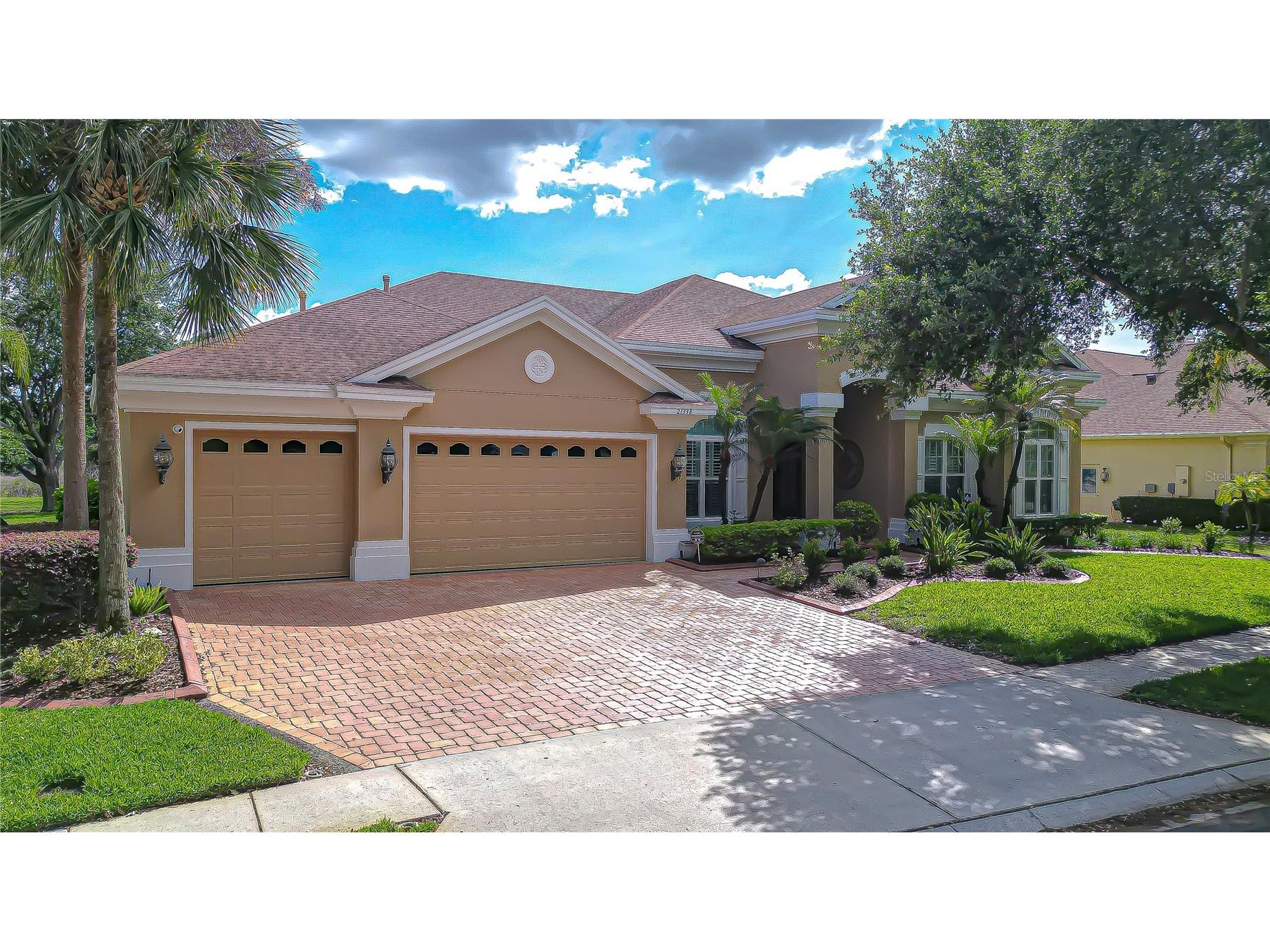 21338 Lake Vienna Drive Drive Land O Lakes FL 34638 TB8491068 image2