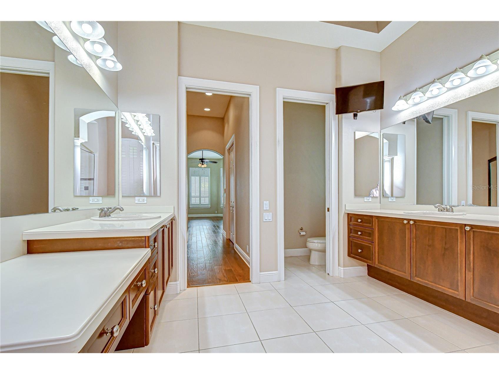 21338 Lake Vienna Drive Drive Land O Lakes FL 34638 TB8491068 image29