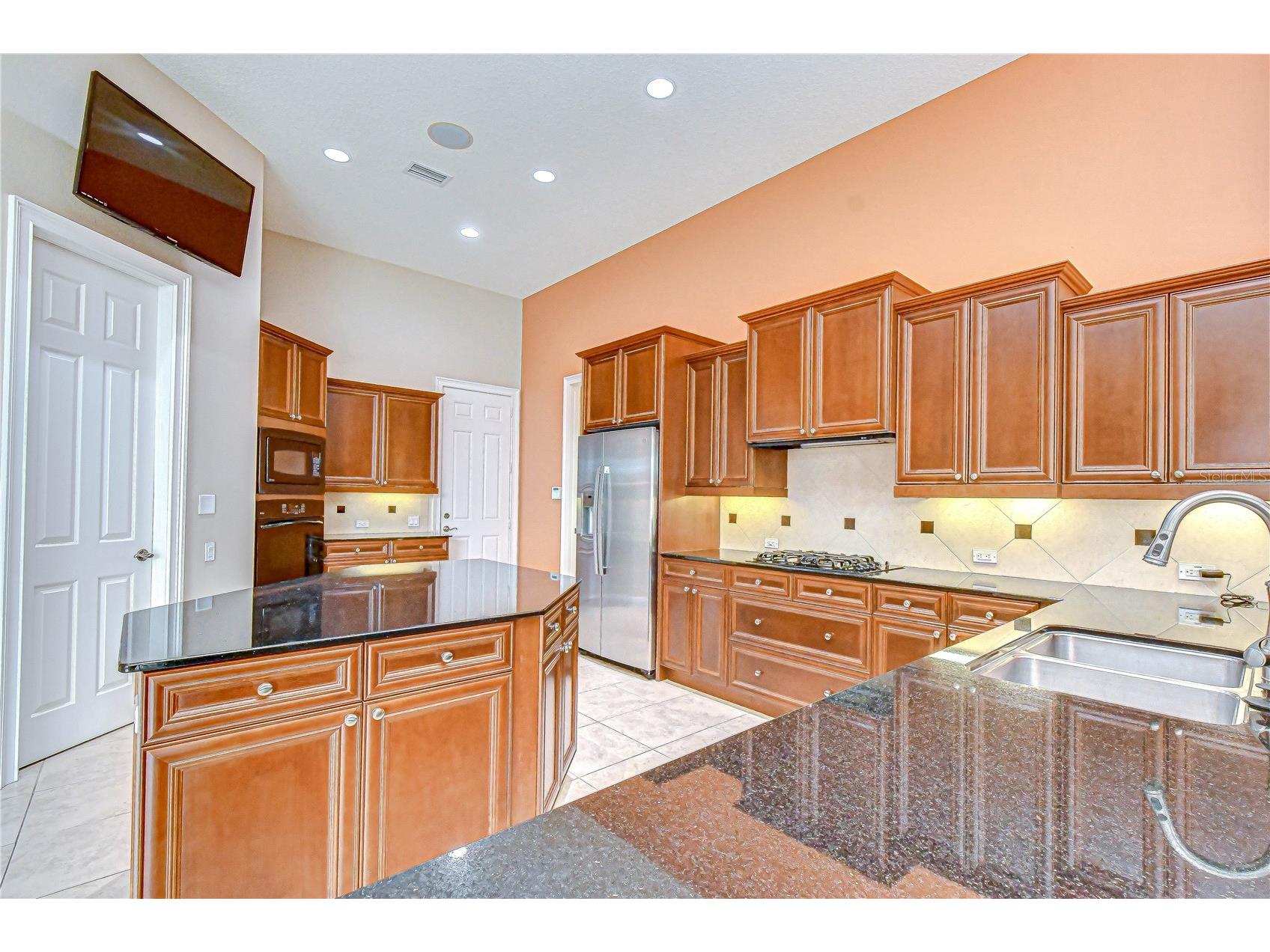 21338 Lake Vienna Drive Drive Land O Lakes FL 34638 TB8491068 image33