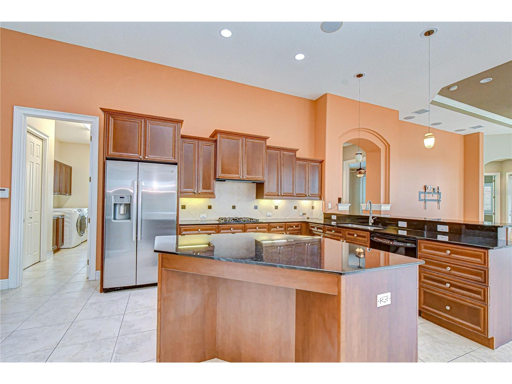 21338 Lake Vienna Drive Drive Land O Lakes FL 34638 TB8491068 image34
